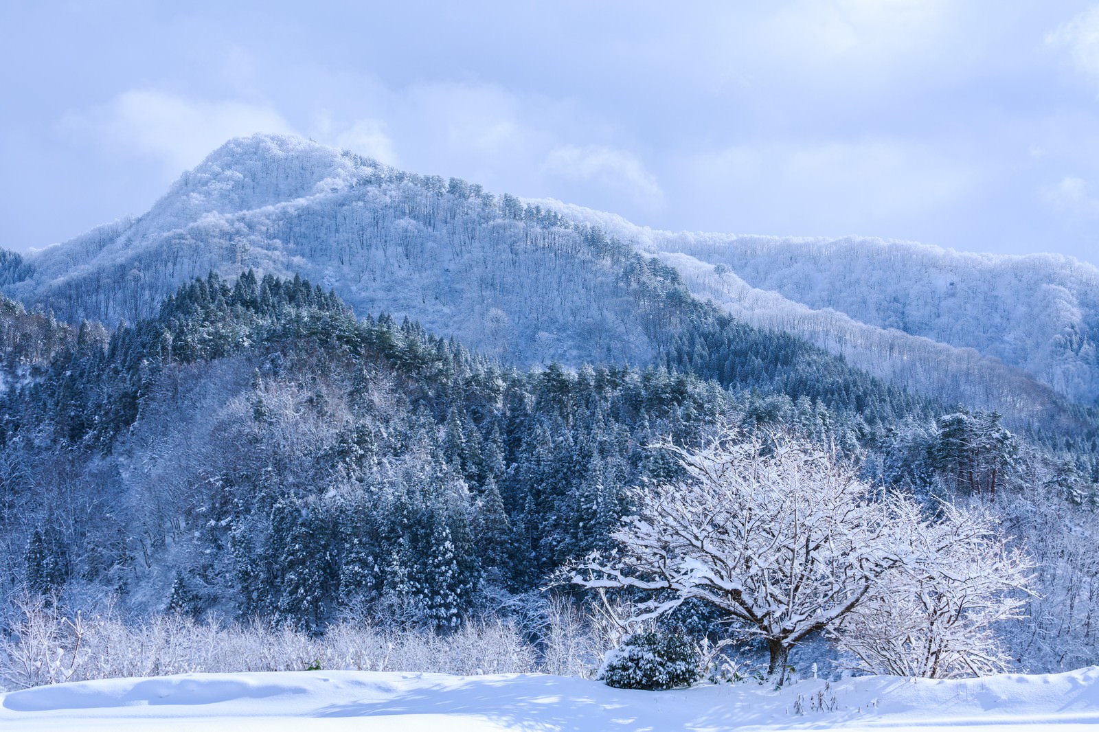 山間の雪景色 無料の写真素材はフリー素材のぱくたそ