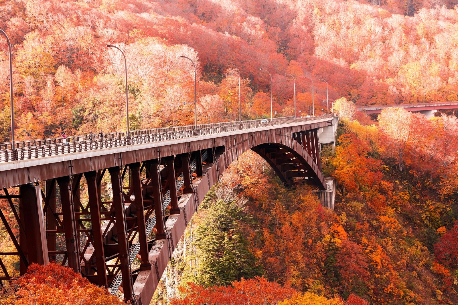 「城ヶ倉大橋と紅葉城ヶ倉大橋と紅葉」のフリー写真素材