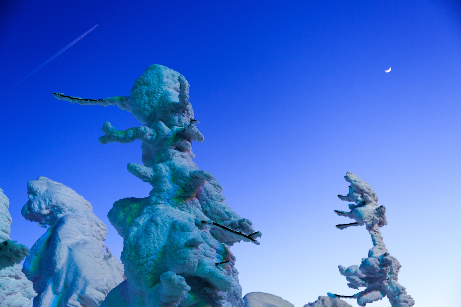 「蔵王の樹氷と月」の写真