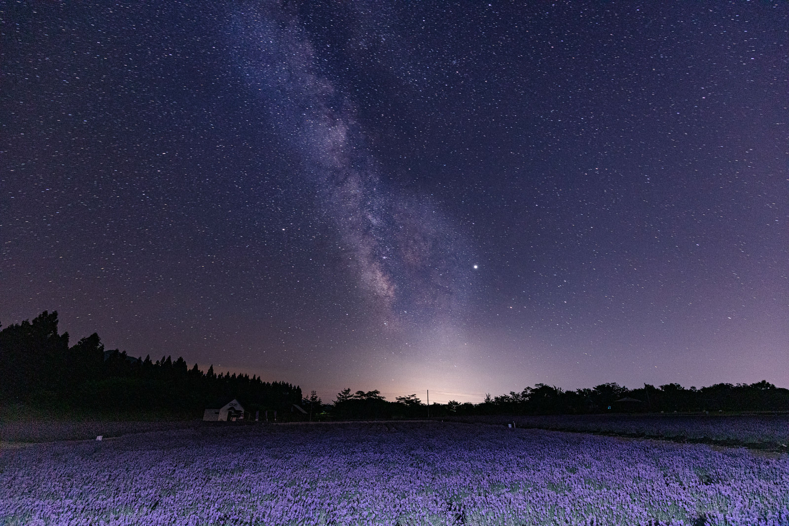 ラベンダー畑と天の川の写真素材 ぱくたそ