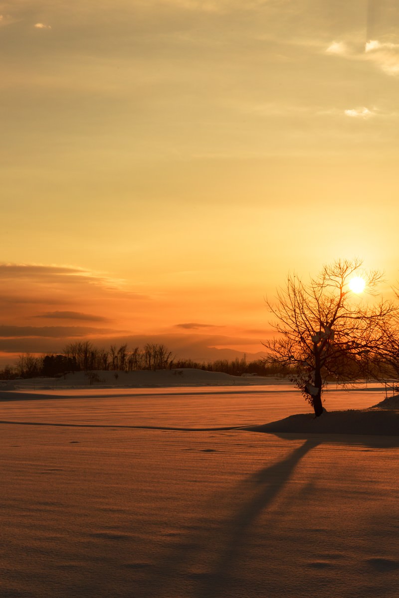 雪国の夕陽の写真を無料ダウンロード フリー素材 ぱくたそ