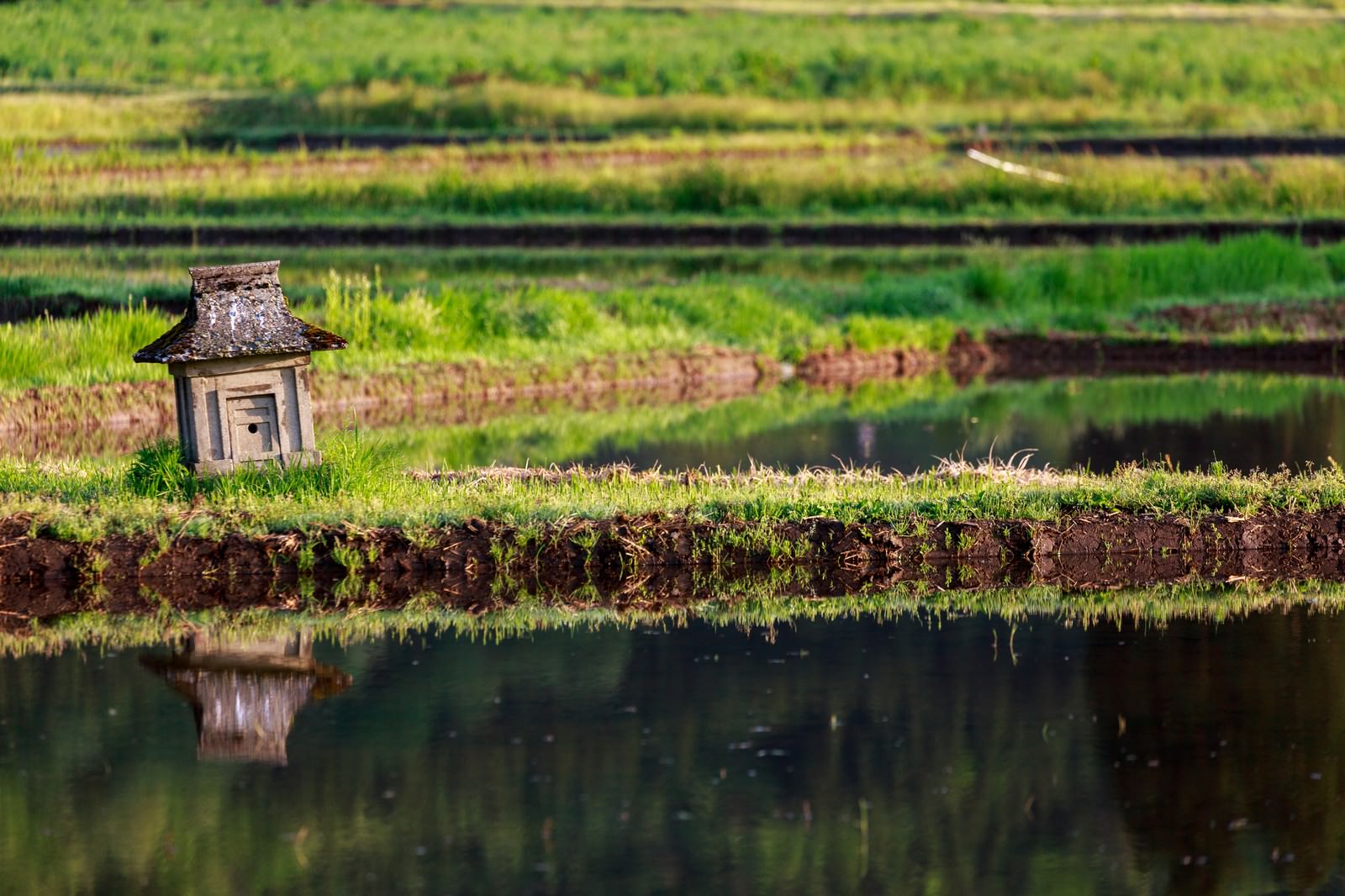 畔にあるほこらの写真素材 ぱくたそ