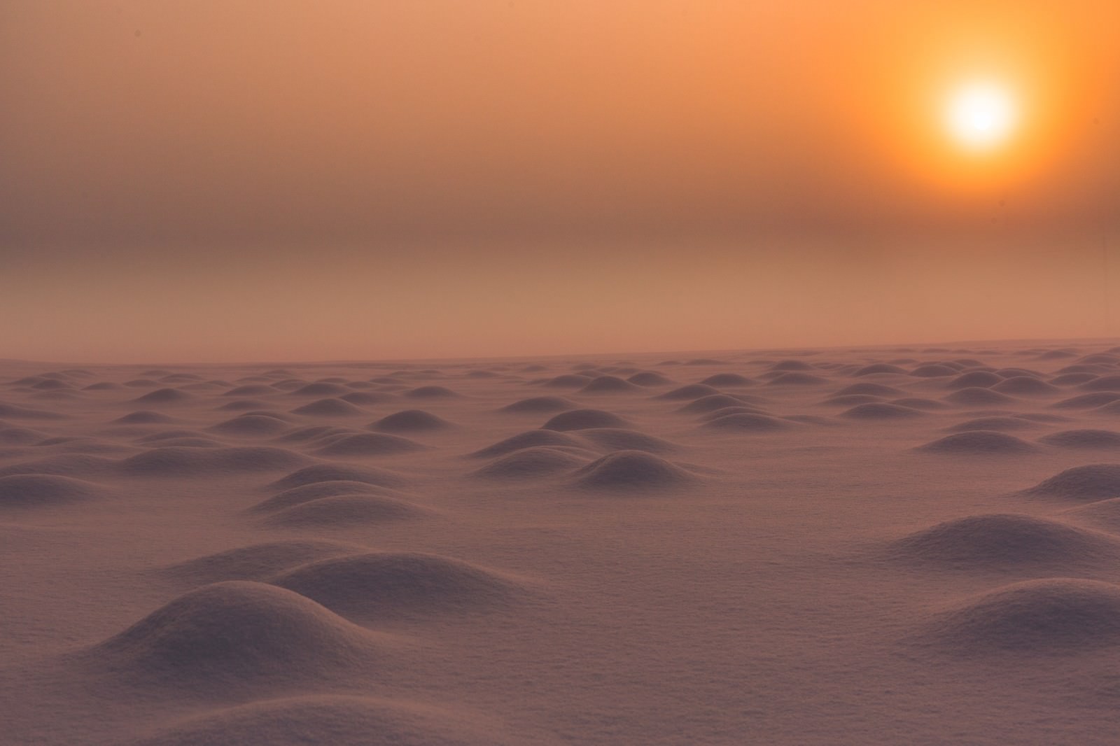 ãéªåã®æéªåã®æãã®ããªã¼åçç´ æãæ¡å¤§