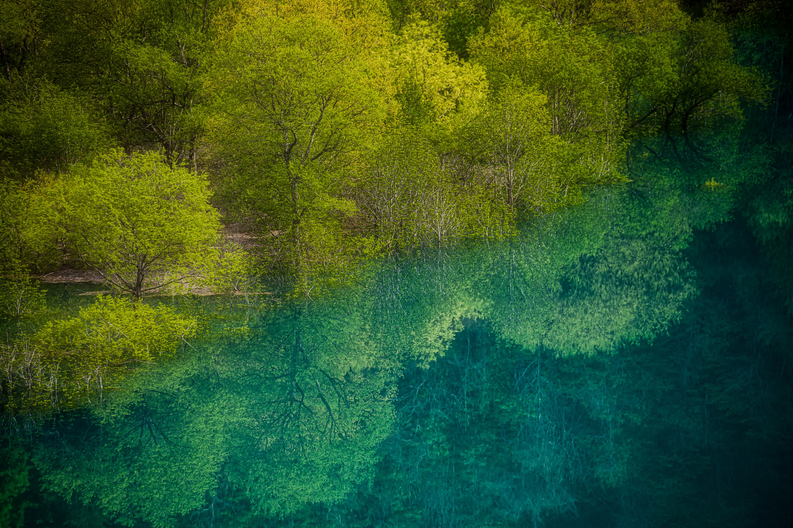 東山魁夷の絵のような玉川ダムの水没林の写真を無料ダウンロード フリー素材 ぱくたそ