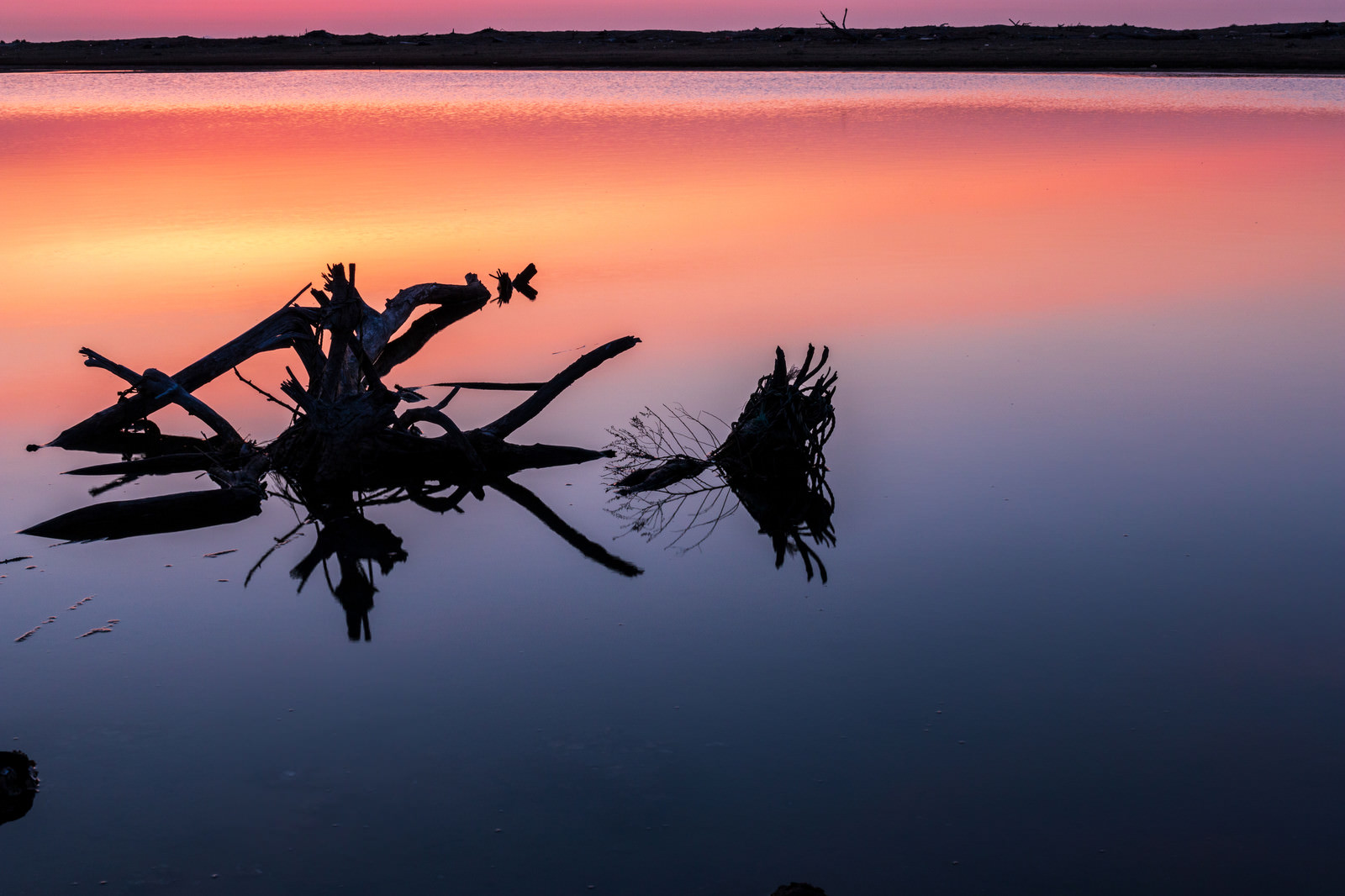 「蒲生干潟の夜明けと朝焼けの水面 | フリー素材のぱくたそ」の写真