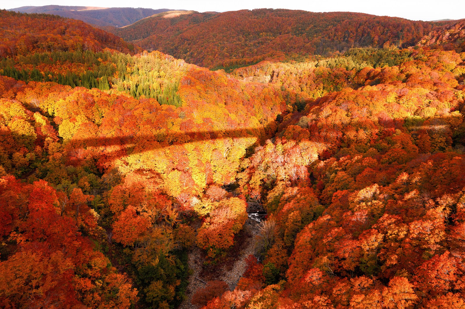 紅葉にかかる橋の影の写真素材 ぱくたそ