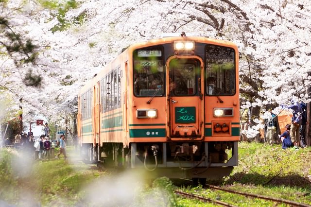 桜トンネルとローカル線