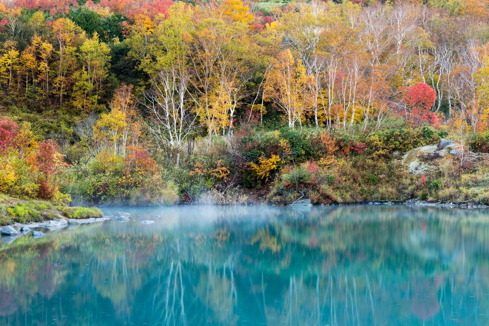 「色づき始めた地獄沼の紅葉色づき始めた地獄沼の紅葉」のフリー写真素材を拡大