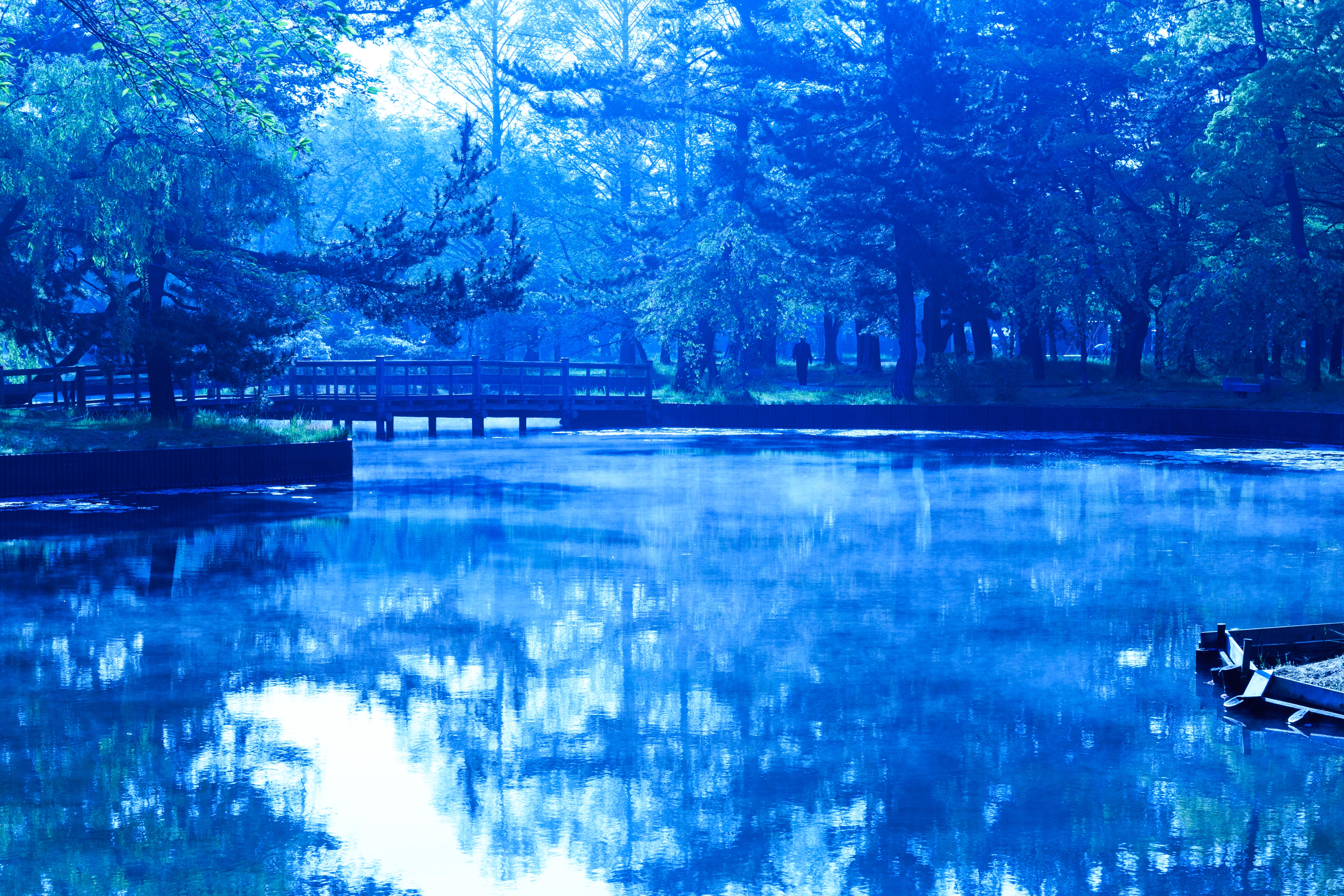 朝の公園 青 の写真 フリー素材は ぱくたそ 写真を無料ダウンロード