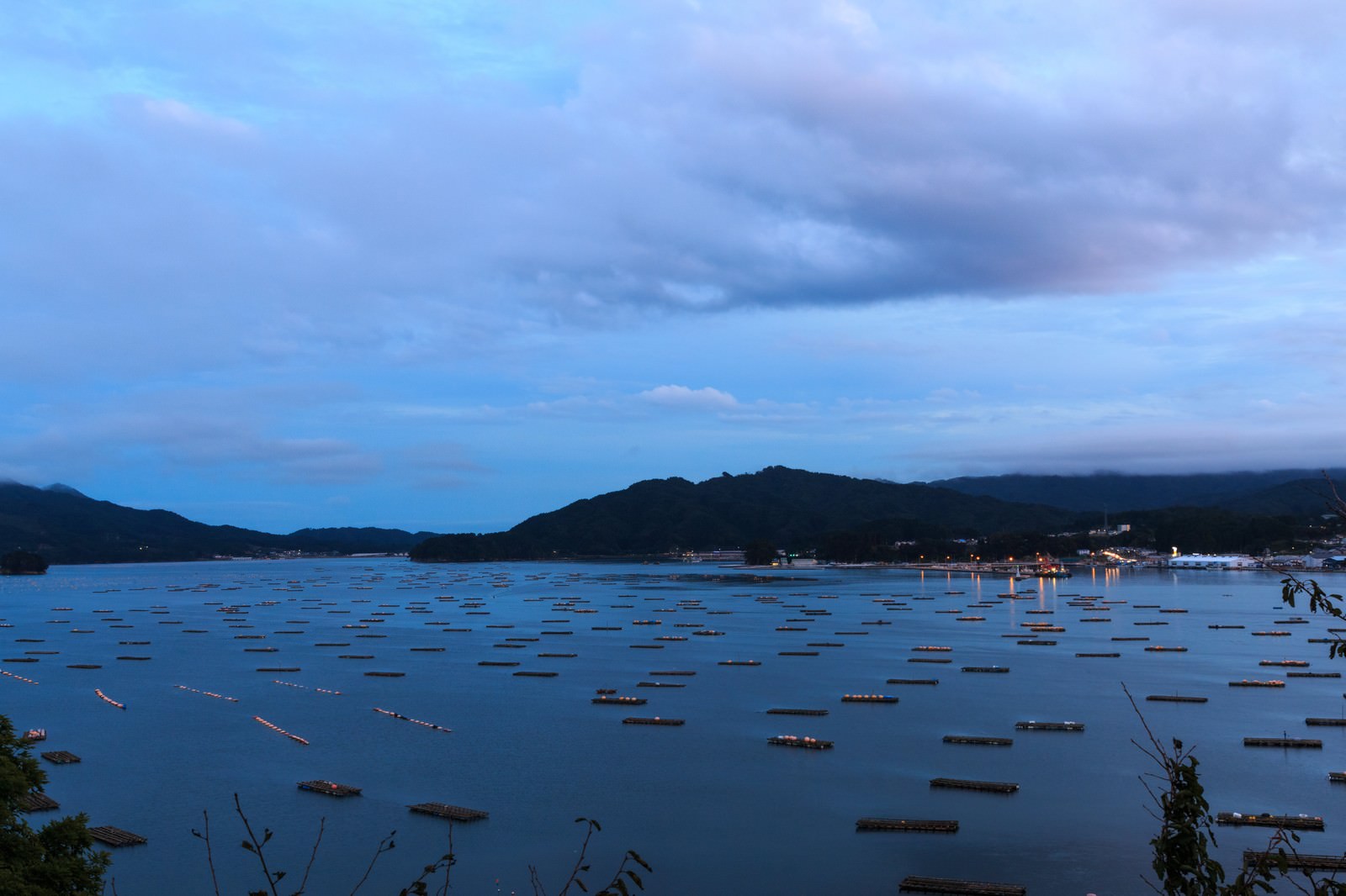 牡蠣の養殖筏の写真 画像 フリー素材 ぱくたそ