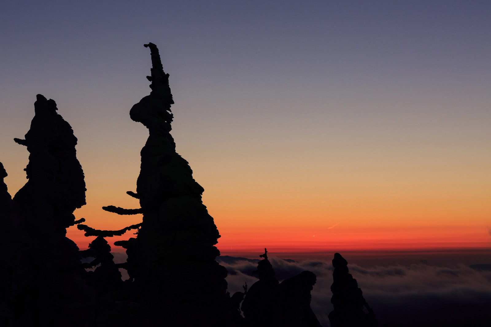 樹氷のシルエット 夕暮れ の無料の写真素材 フリー素材 をダウンロード ぱくたそ 樹氷のシルエット 夕暮れ の無料の写真素材 フリー素材 をダウンロード ぱくたそ