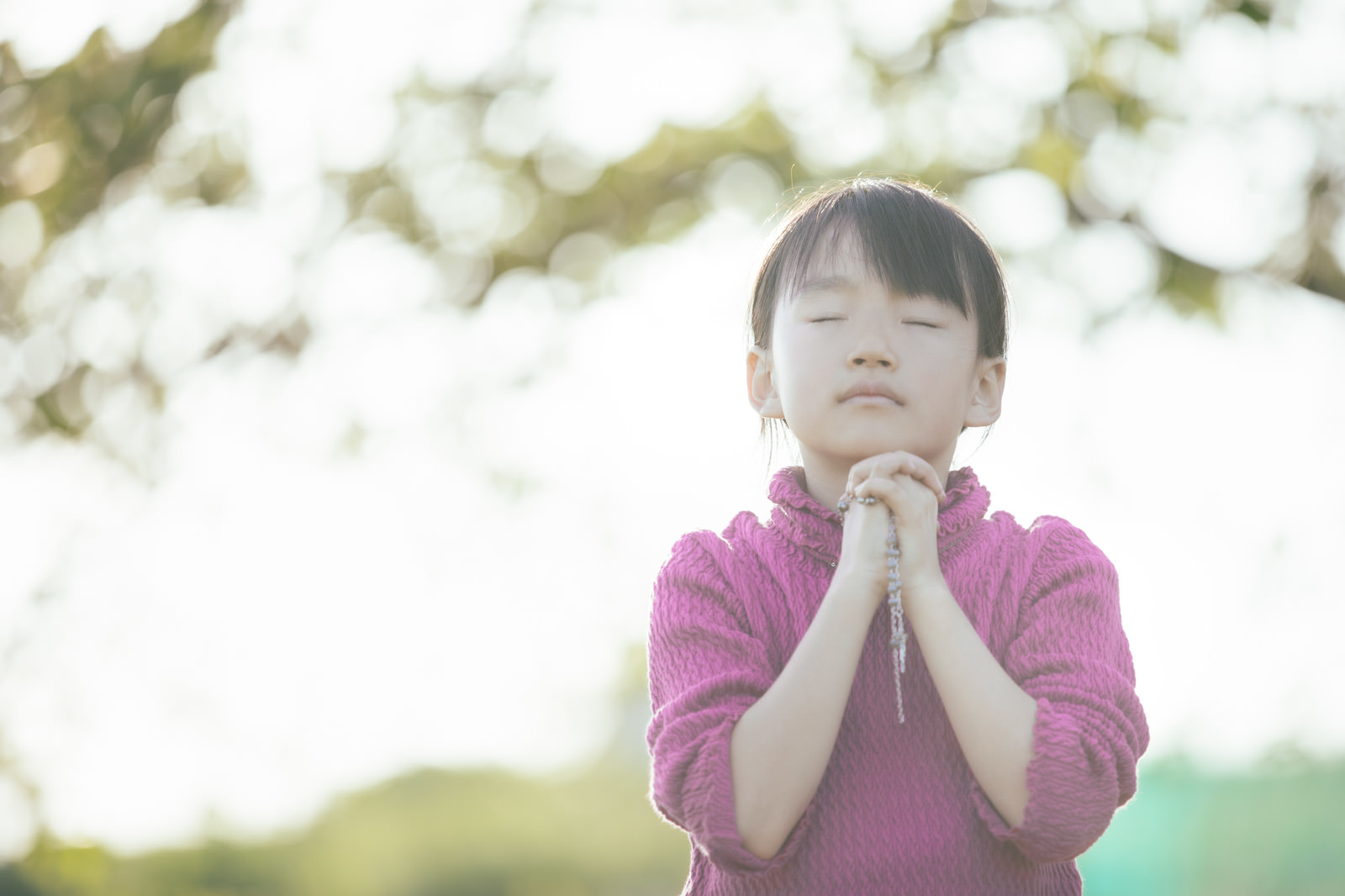 祈りを捧げる女の子の写真素材 ぱくたそ