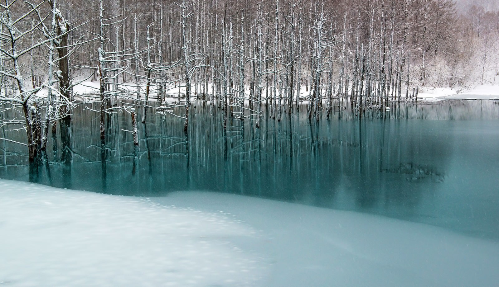 青い池と雪の写真 画像 を無料ダウンロード フリー素材のぱくたそ