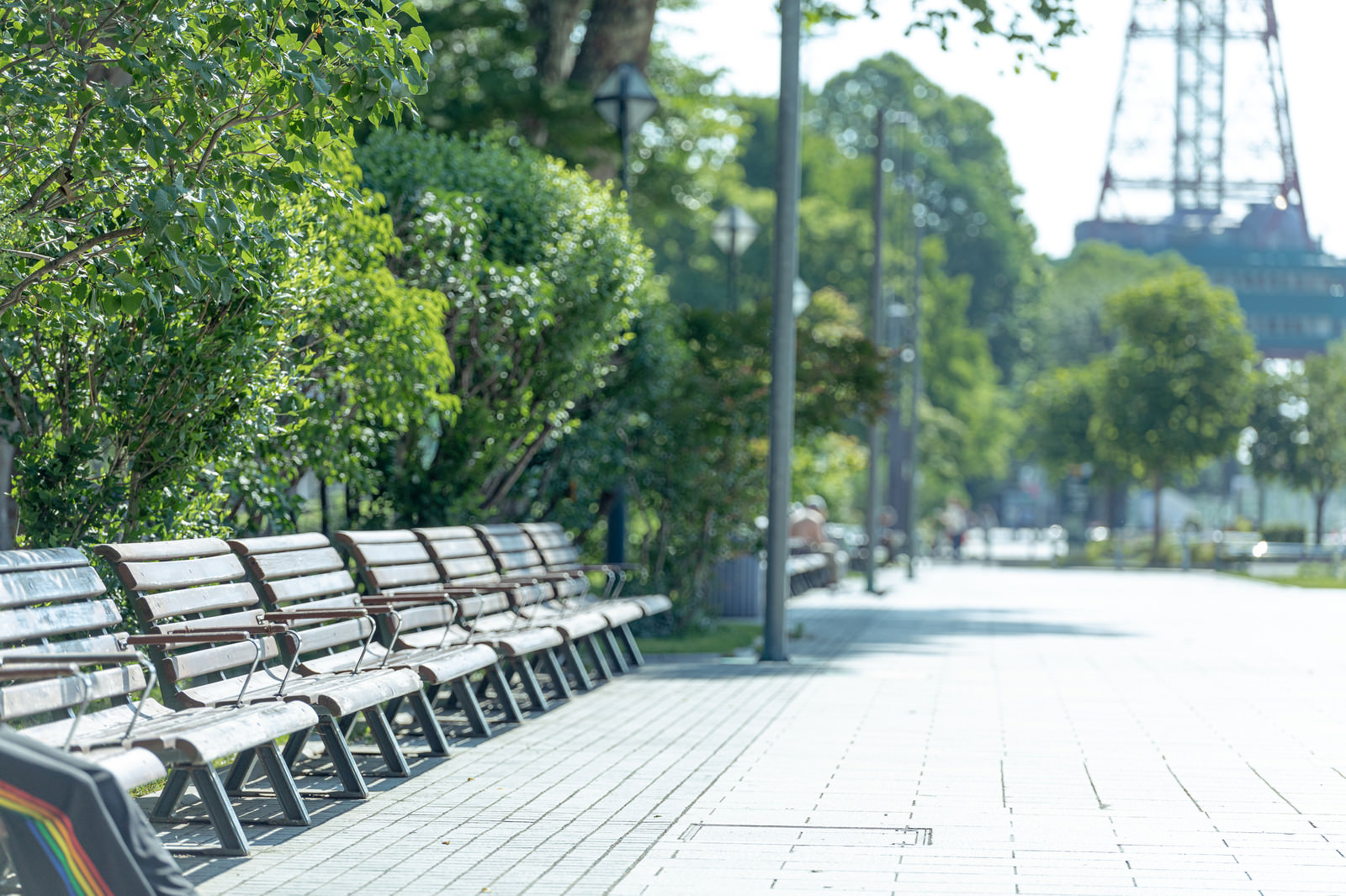 札幌大通り公園のベンチの写真素材 ぱくたそ