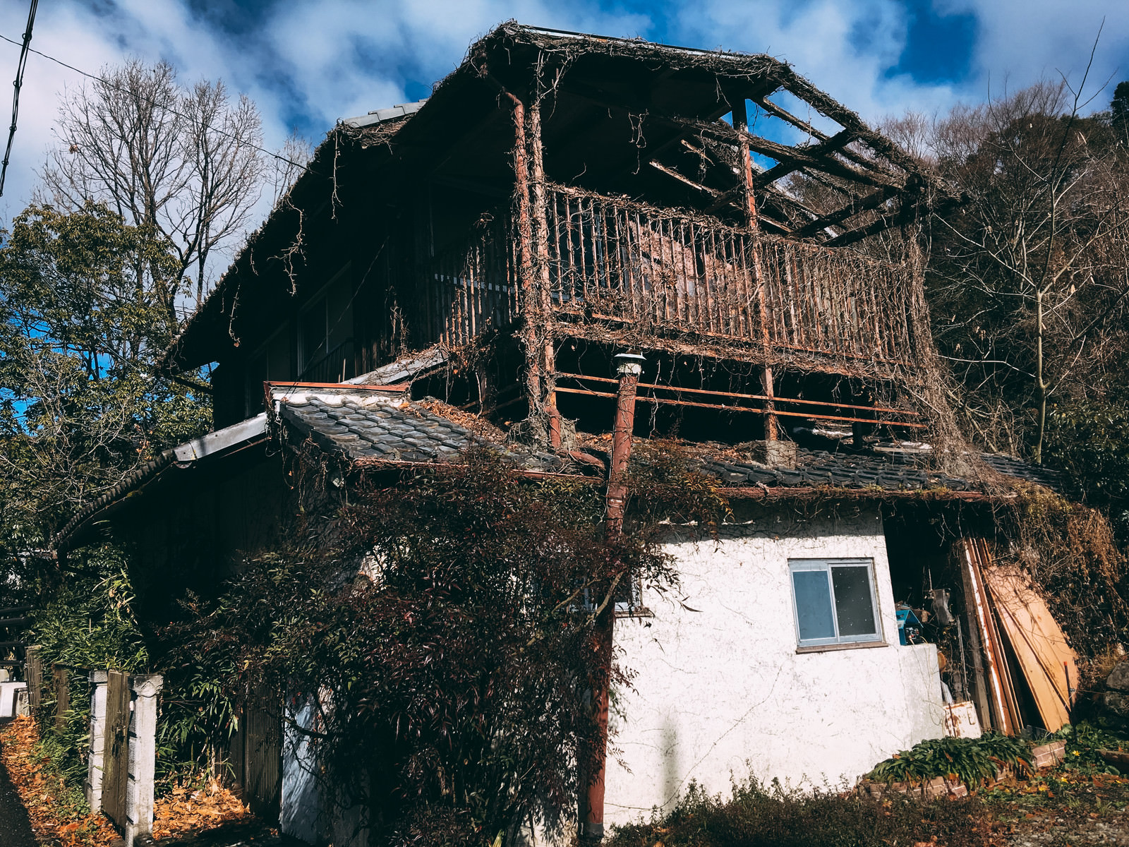 つたが絡んだ人が住む気配のない廃屋の写真素材 ぱくたそ