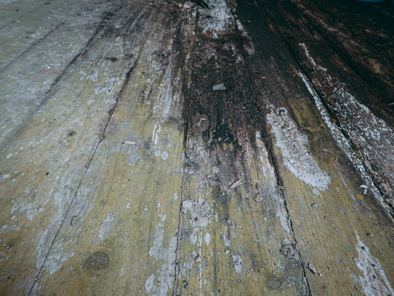 「焼き焦げた木造の壁」の写真