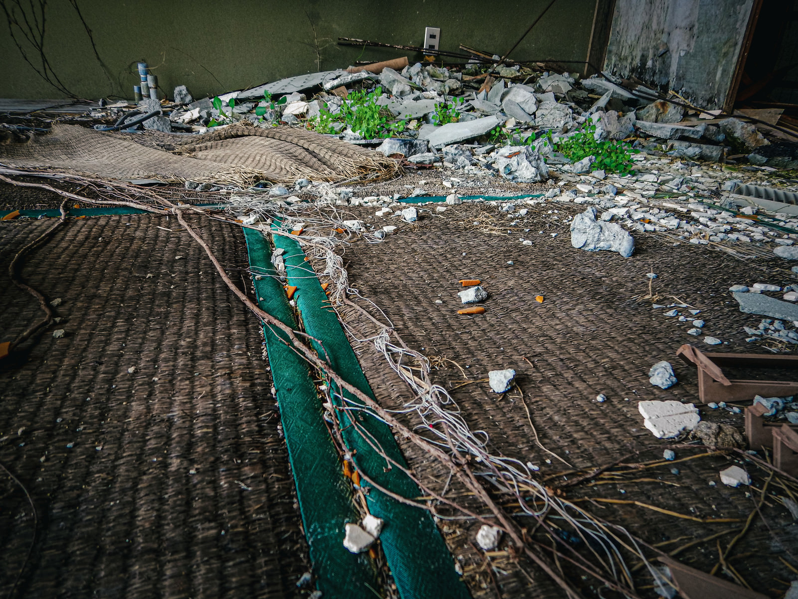 「畳から生えた雑草と砕けたコンクリート | フリー素材のぱくたそ」の写真