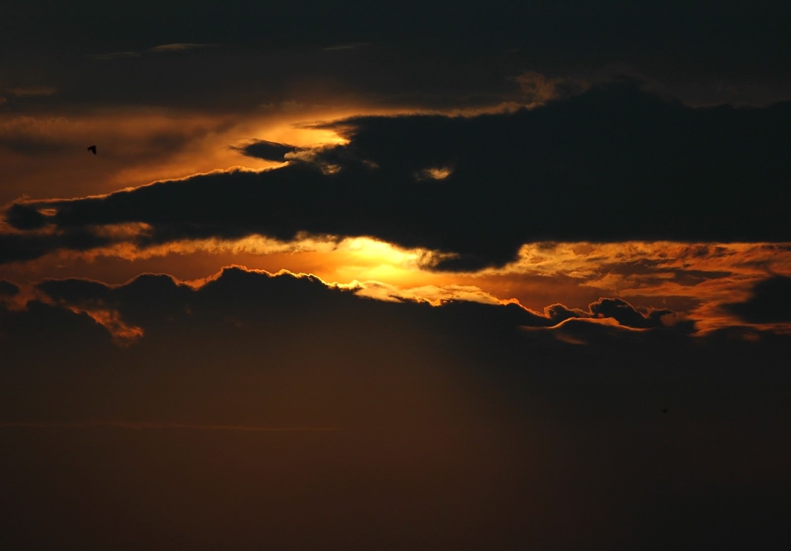 「家路の夕焼け空」の写真