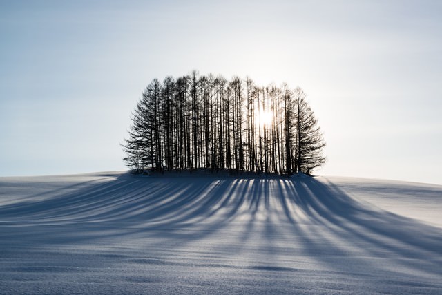 「雪とマイルドセブンの丘」のフリー写真素材