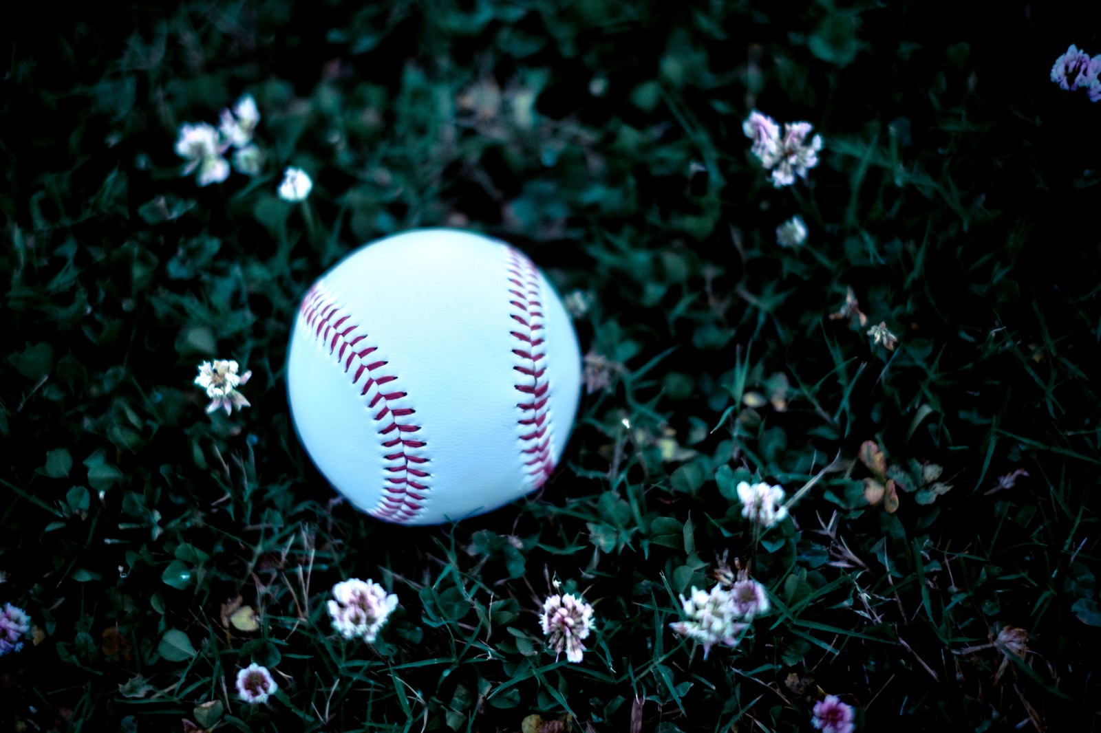 足元に転がる野球のボールの写真を無料ダウンロード フリー素材 ぱくたそ 足元に転がる野球のボールの写真を無料ダウンロード フリー素材 ぱくたそ
