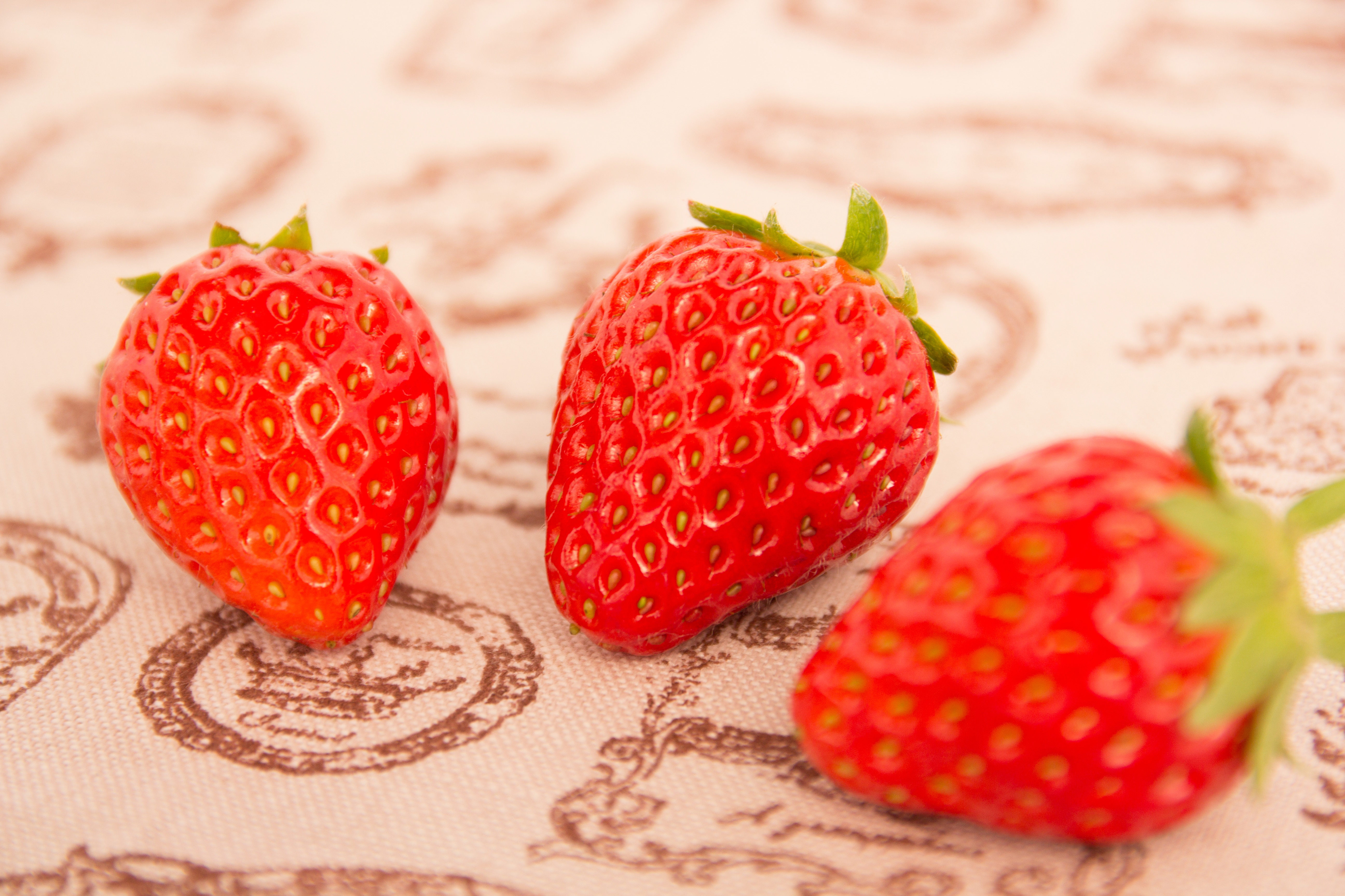 イチゴ3つの写真を無料ダウンロード フリー素材 ぱくたそ