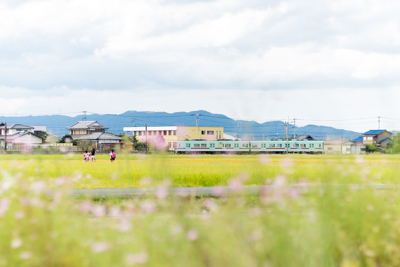 「甘木鉄道と田園風景（福岡県大刀洗町）甘木鉄道と田園風景（福岡県大刀洗町）」のフリー写真素材を拡大