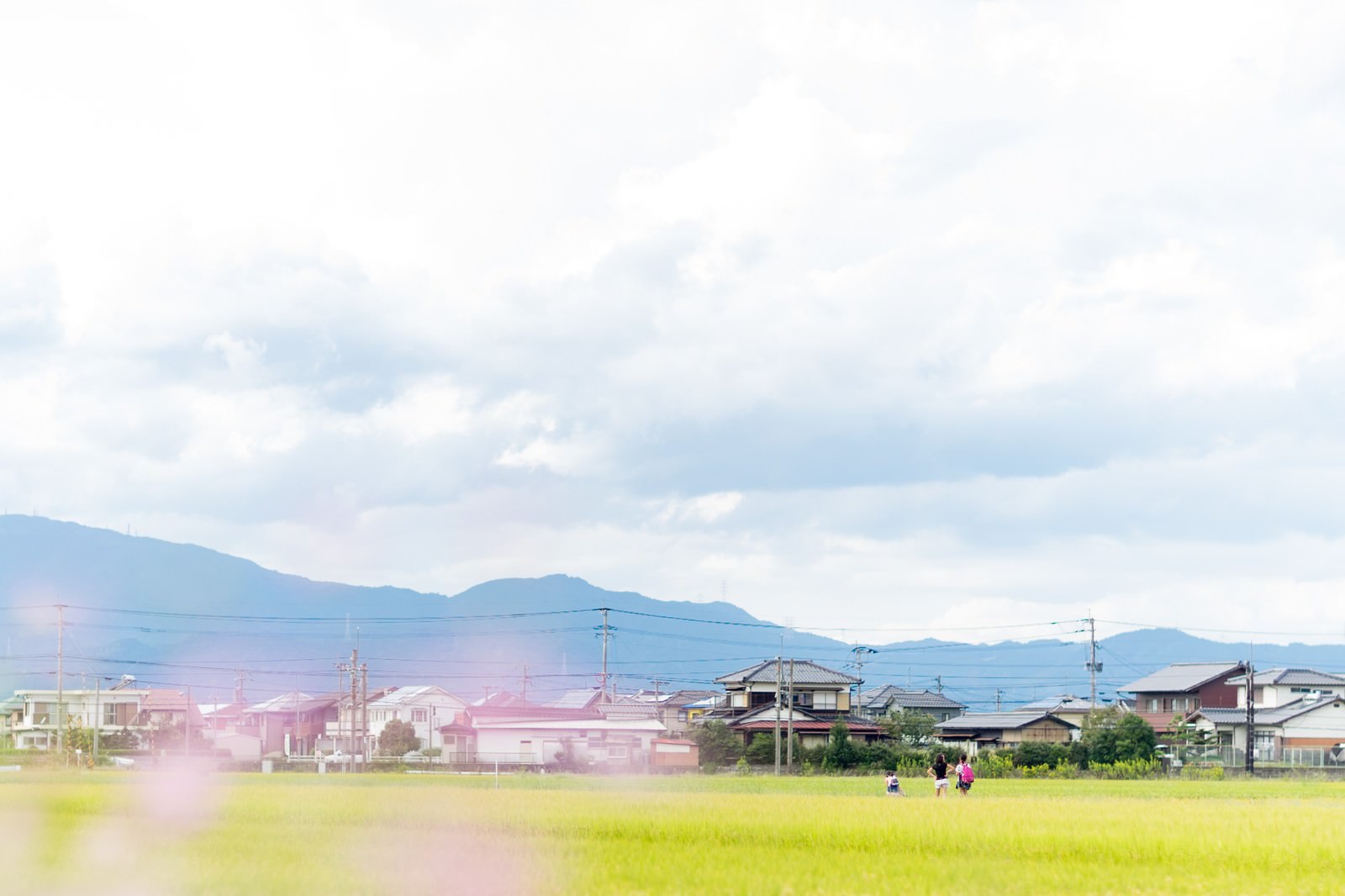 「田んぼ道を下校する小学生の姿」の写真