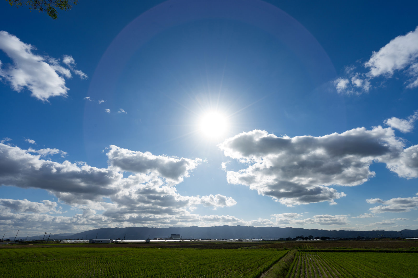 太陽と大刀洗の畑の無料の写真素材 フリー素材 をダウンロード ぱくたそ