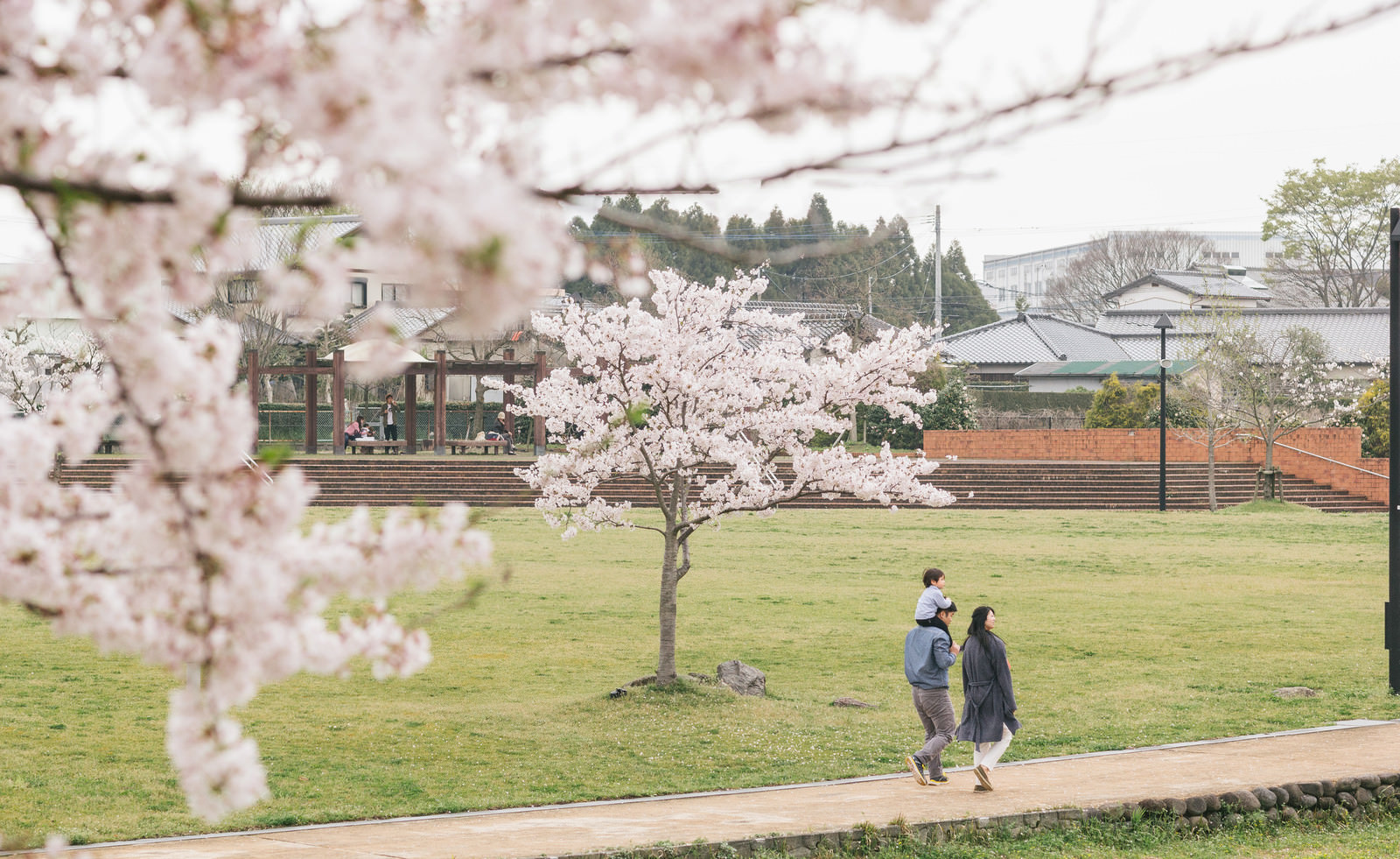 「桜の季節に散歩する家族 | フリー素材のぱくたそ」の写真
