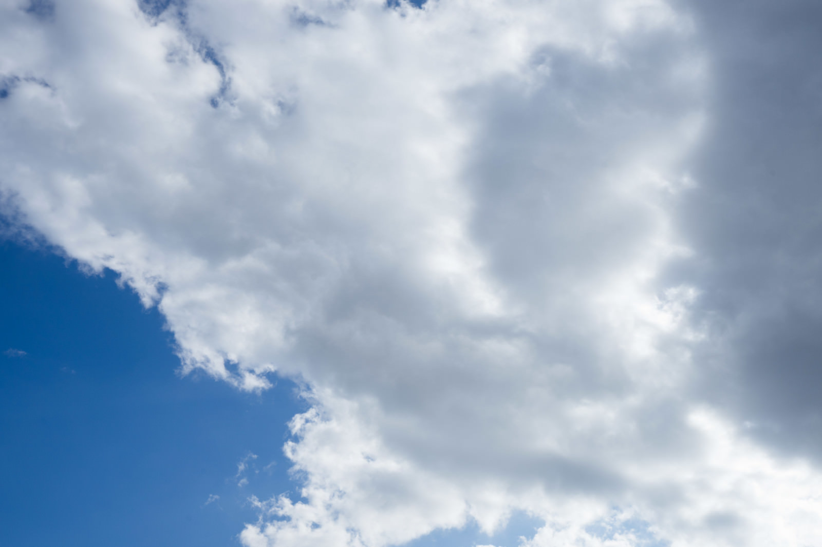 「晴れ間に雲が出てきた晴れ間に雲が出てきた」のフリー写真素材