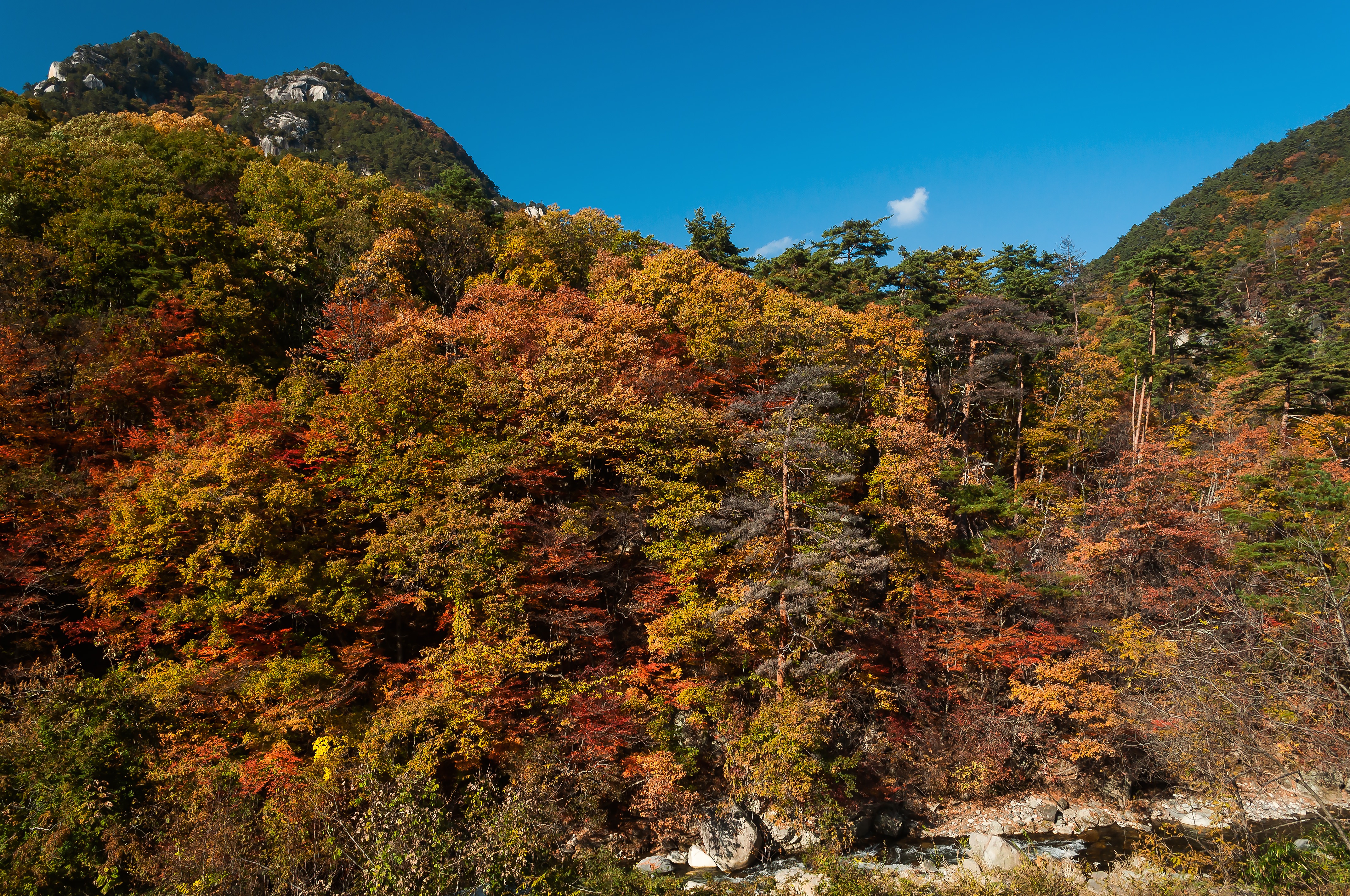 秋の山の写真素材 ぱくたそ