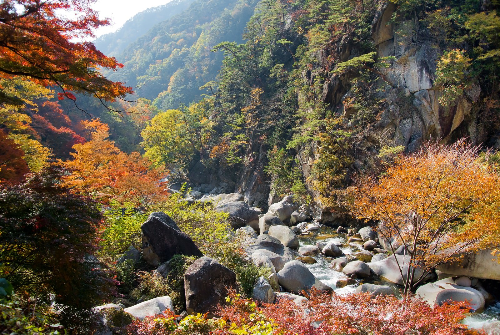 錦秋の写真素材 ぱくたそ