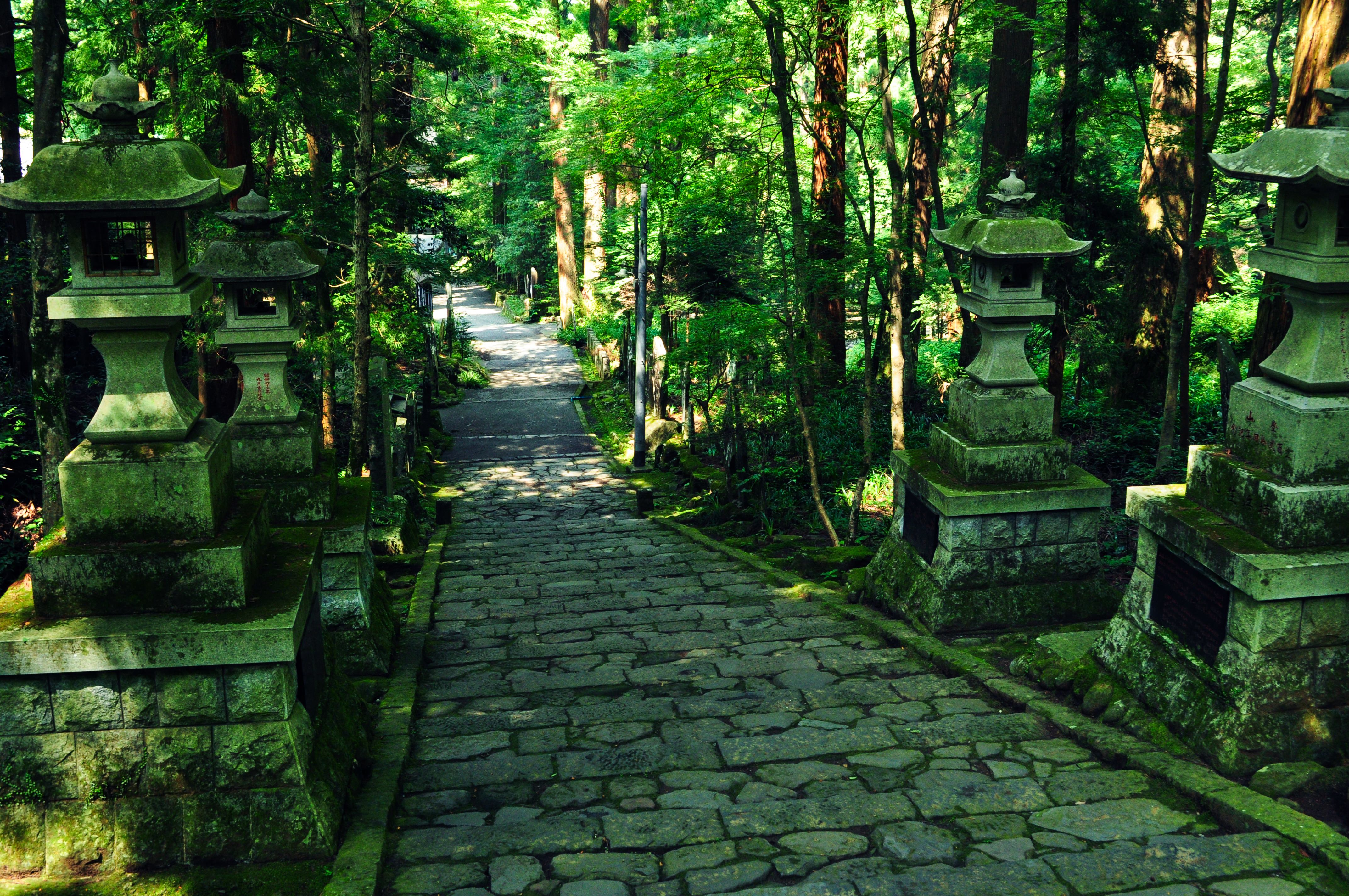 参道の写真素材 ぱくたそ