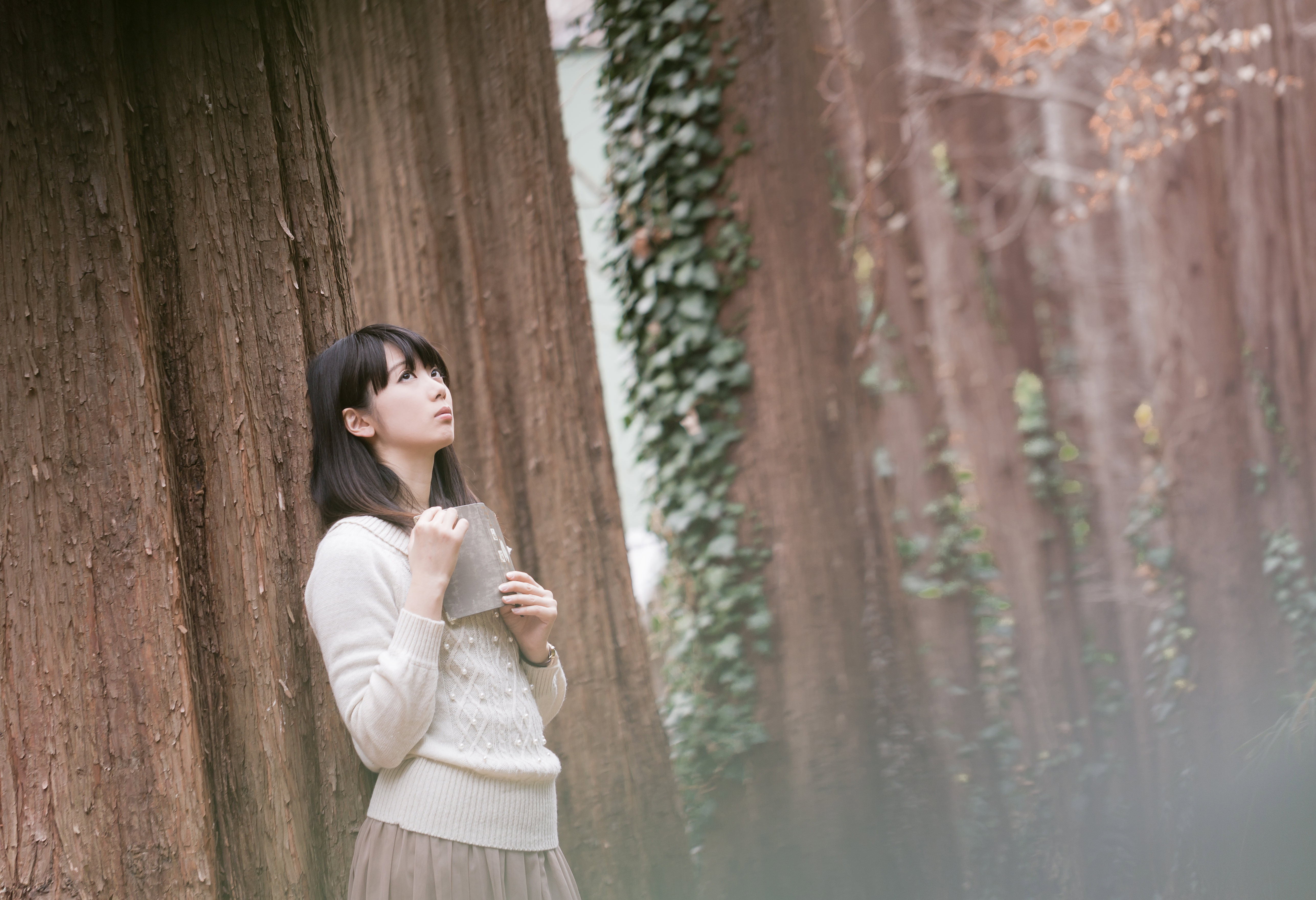 森に迷い込んだ読書美女の写真素材 ぱくたそ