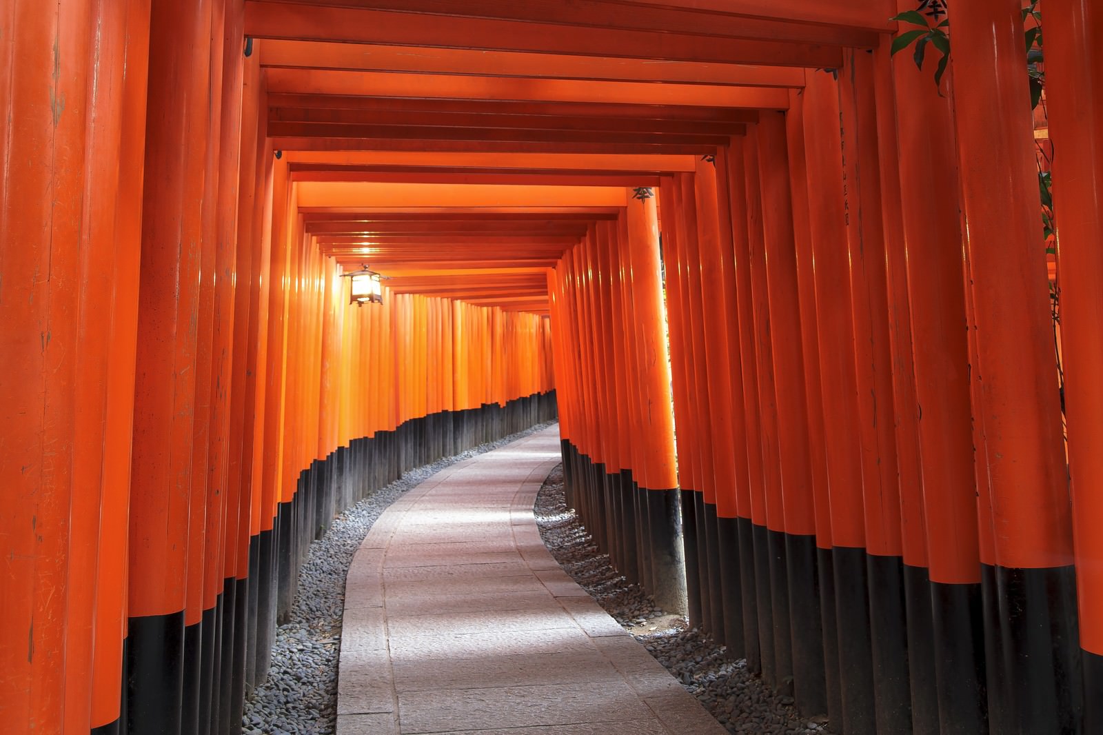 京都伏見稲荷大社の千本鳥居の無料の写真素材 フリー素材 をダウンロード ぱくたそ