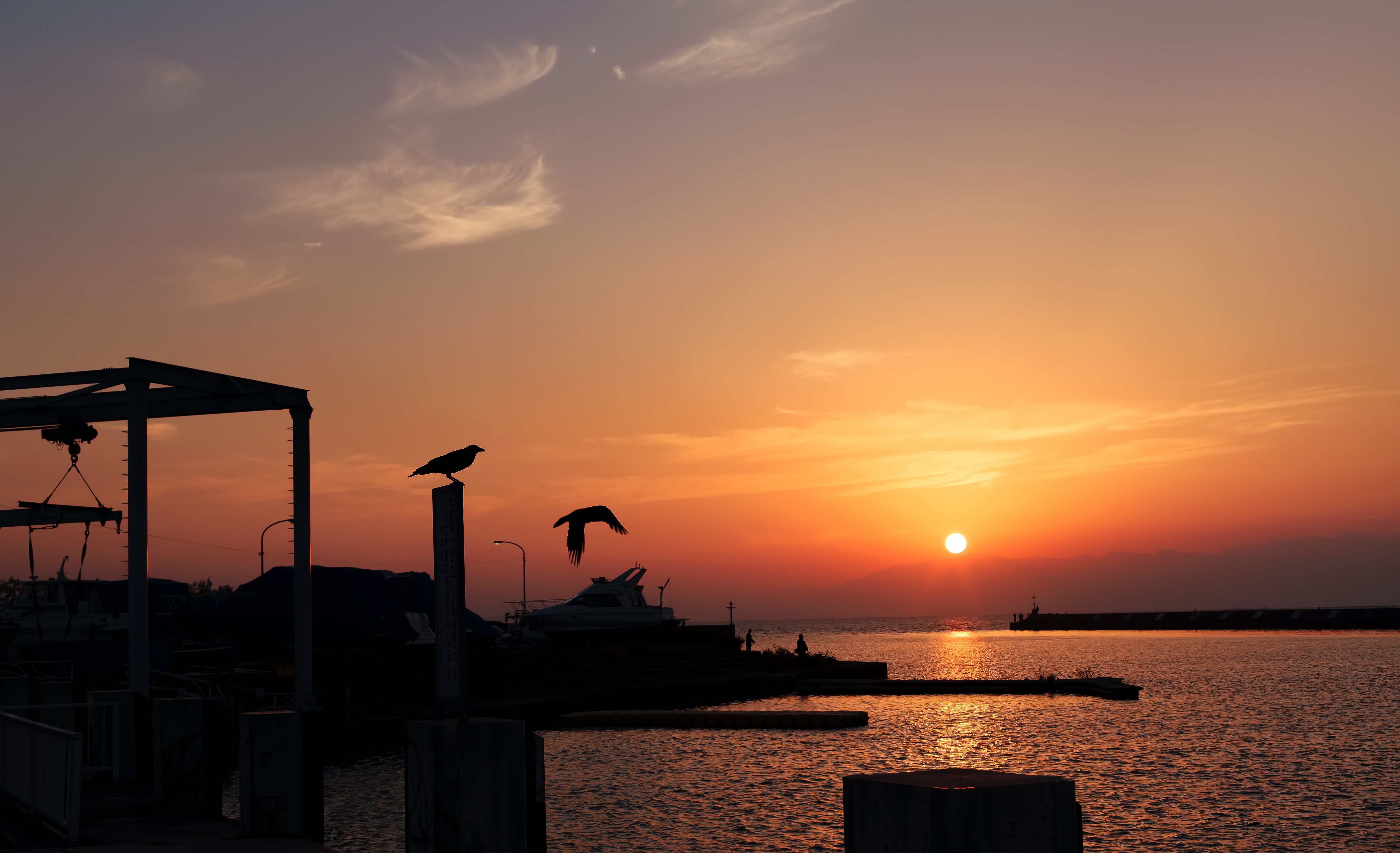 黄金色に輝く夕焼けとカラスの無料の写真素材 フリー素材 をダウンロード ぱくたそ