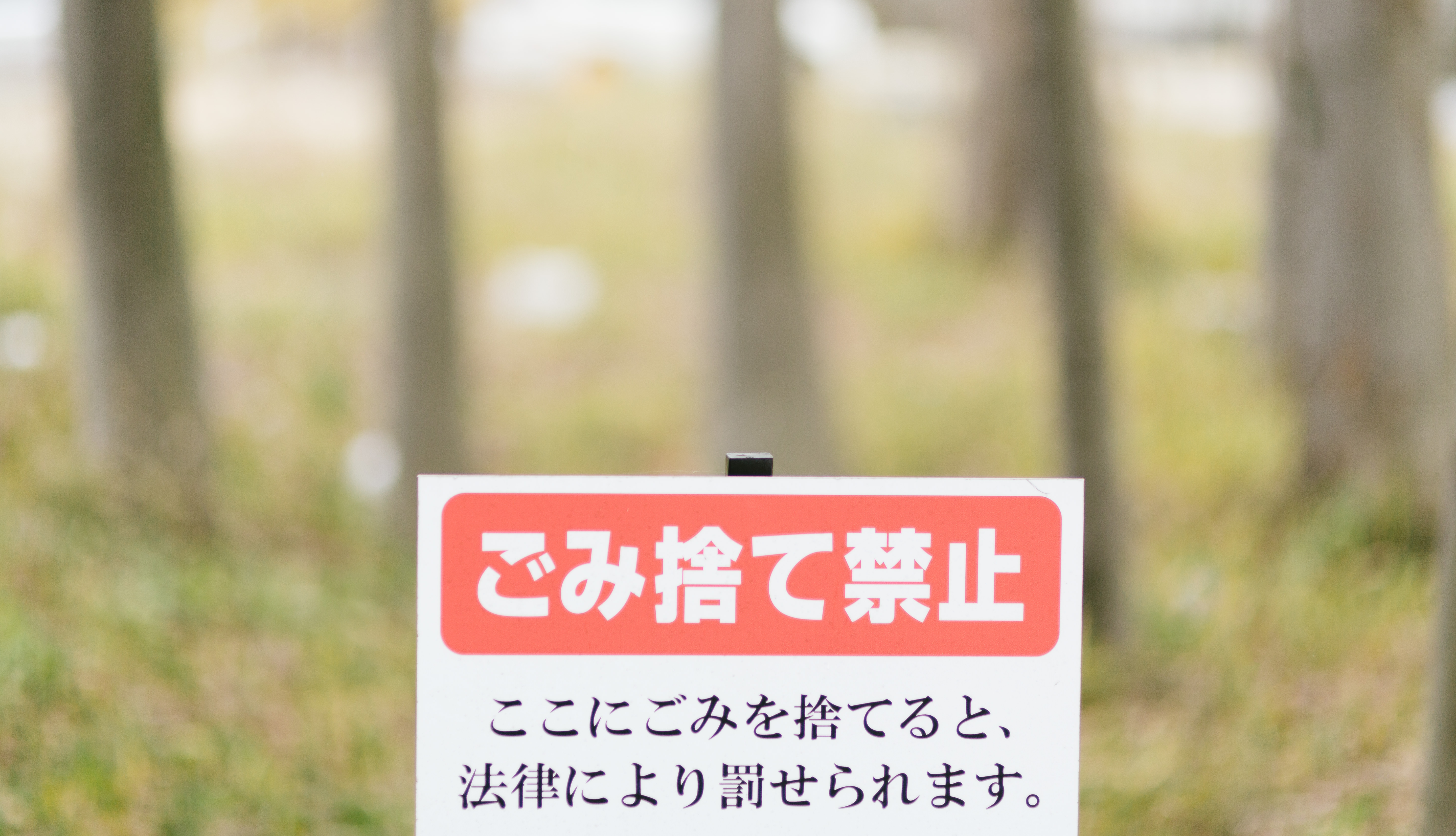 ごみ捨て禁止の写真 画像 を無料ダウンロード フリー素材のぱくたそ ごみ捨て禁止の写真 画像 を無料ダウンロード フリー素材のぱくたそ