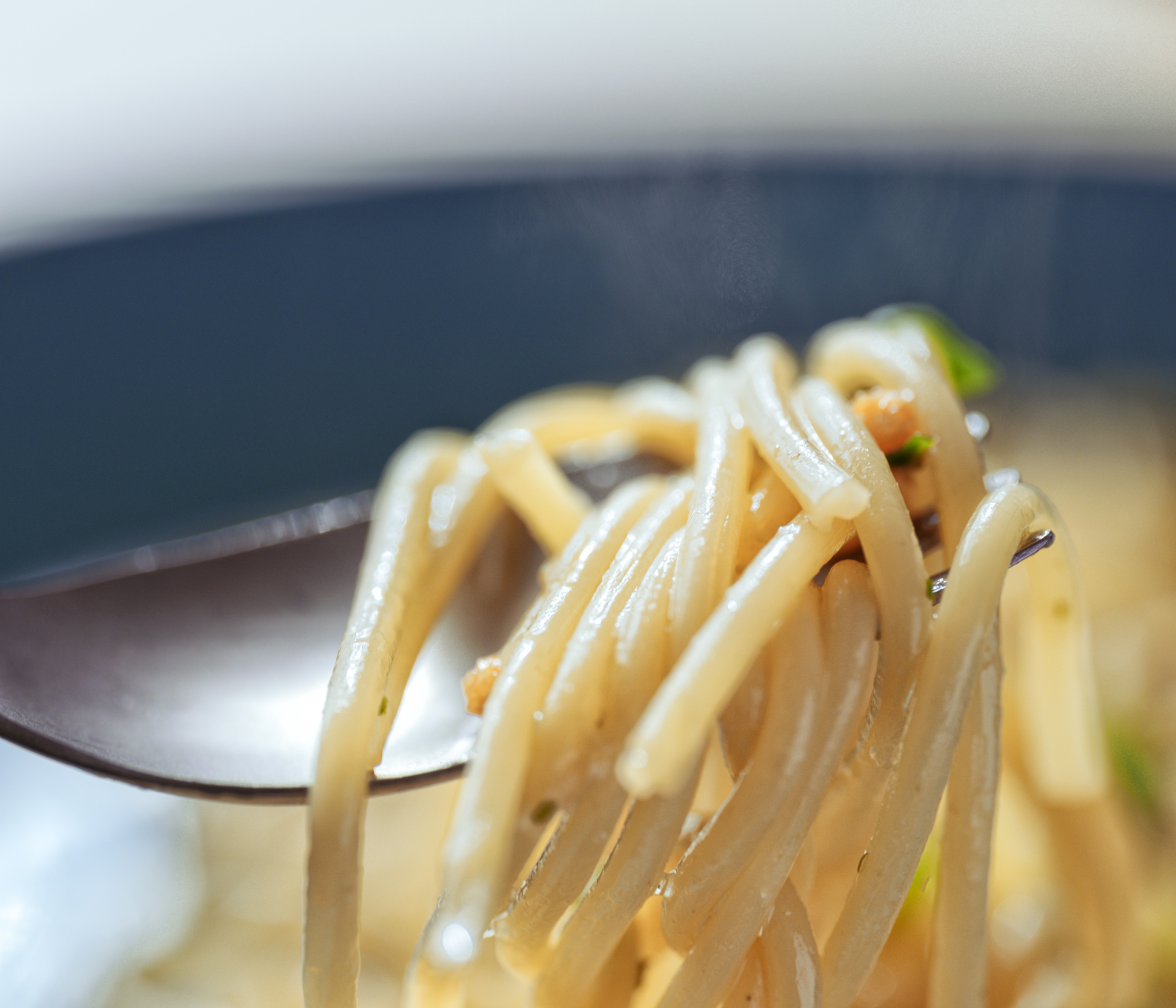 出来上がったばかりのパスタの麺の写真を無料ダウンロード フリー素材 ぱくたそ 出来上がったばかりのパスタの麺の写真を無料ダウンロード フリー素材 ぱくたそ