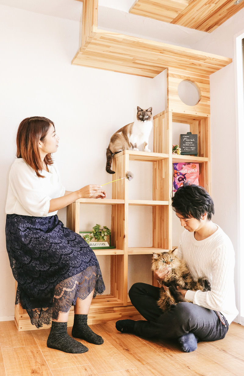「猫と暮らす家（恋人との同棲）」の写真