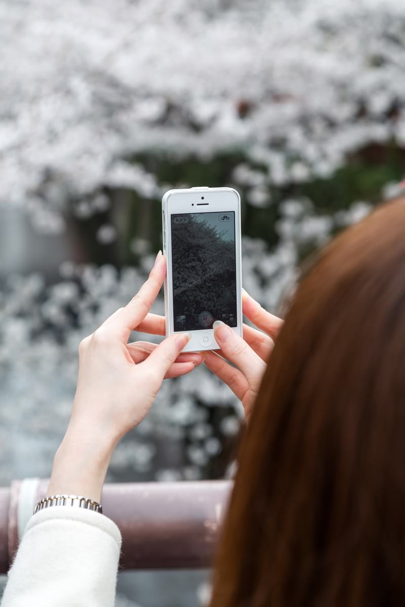 スマホのカメラで桜を撮る女性の写真を無料ダウンロード フリー素材 ぱくたそ