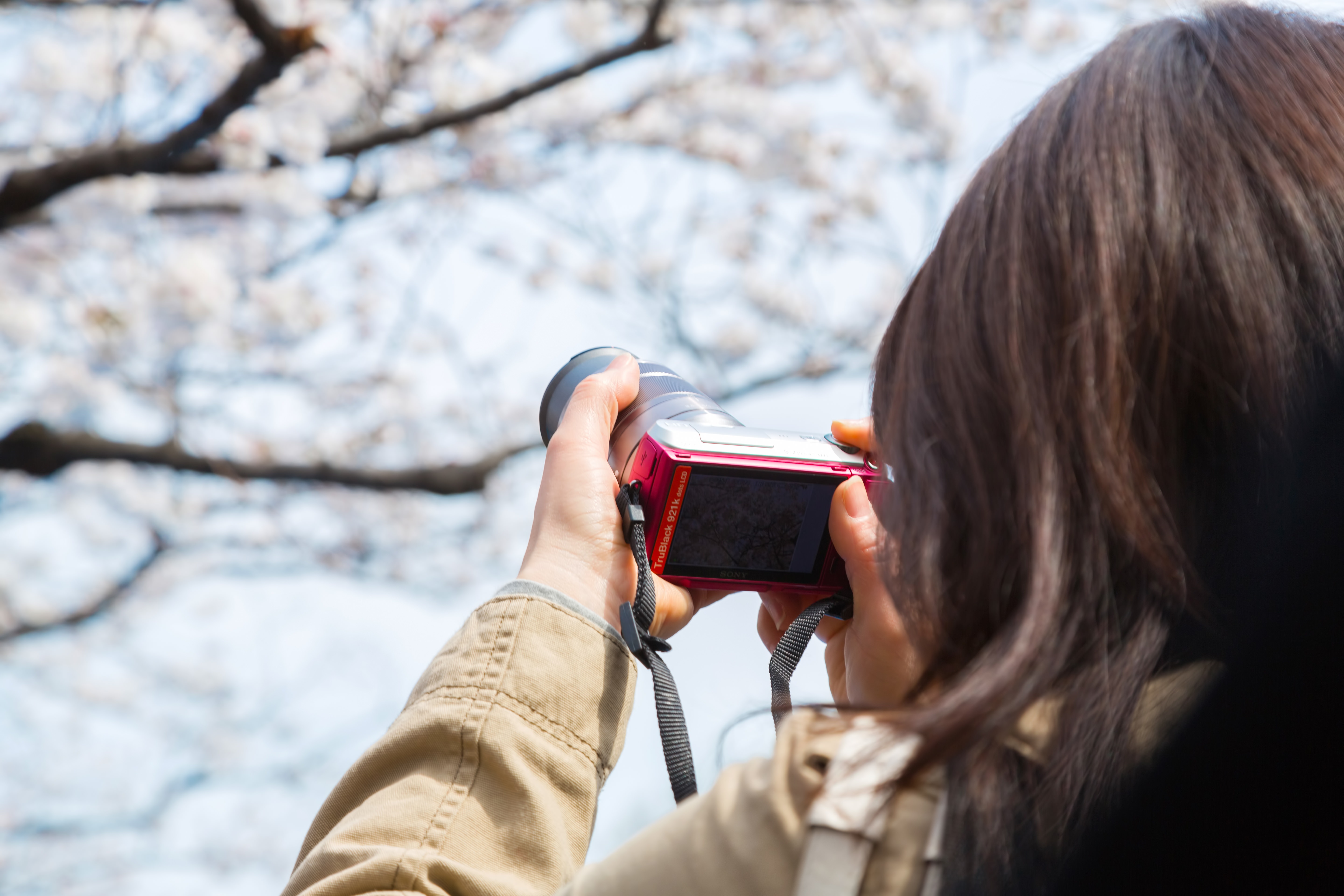 ミラーレス一眼レフで、オーロラの写真を撮ることは可能ですか??オーロ - Yahoo!知恵袋