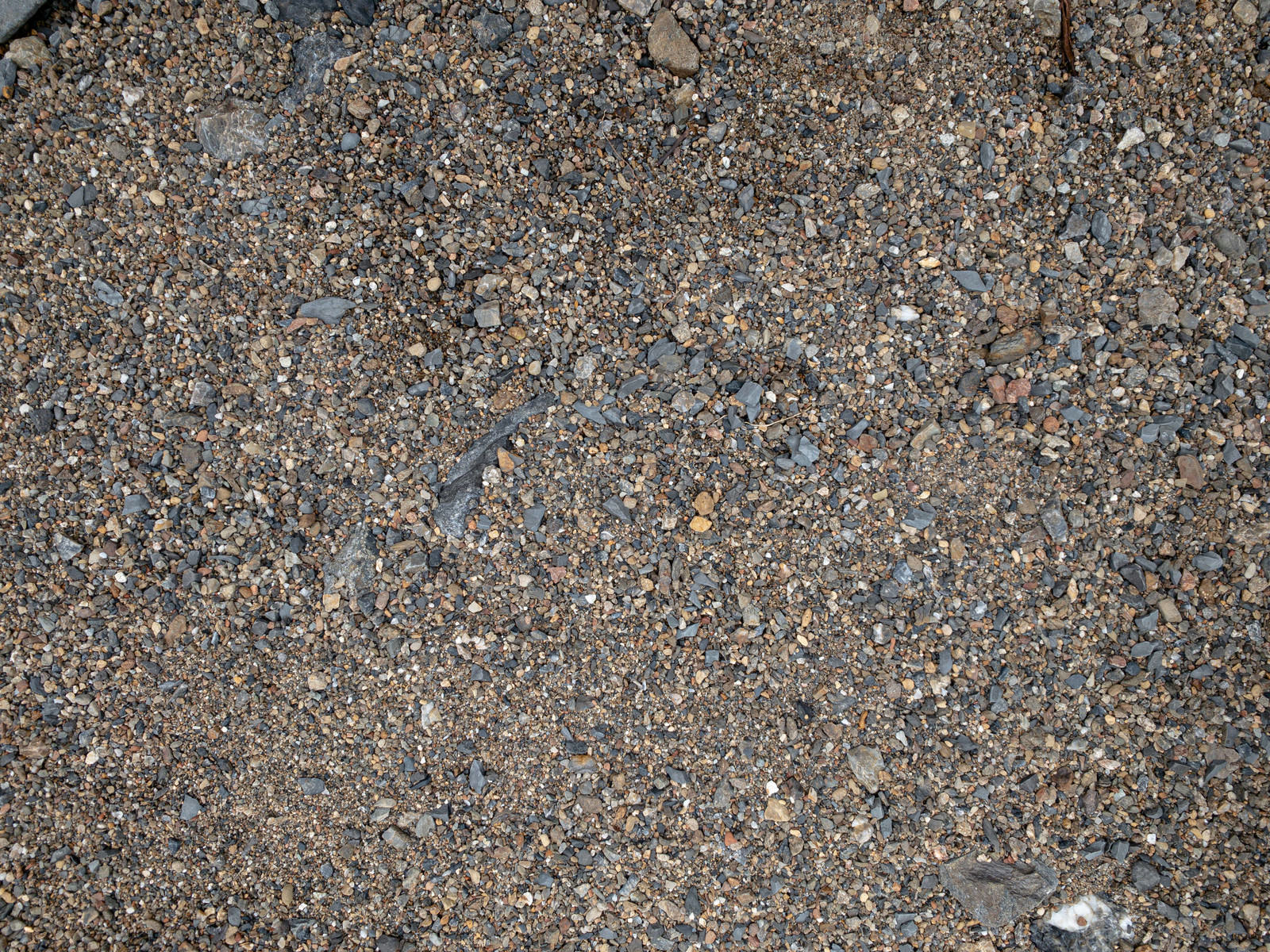 砂利の混じる砂地 テクスチャ の写真を無料ダウンロード フリー素材 ぱくたそ 砂利の混じる砂地 テクスチャ の写真を無料ダウンロード フリー素材 ぱくたそ