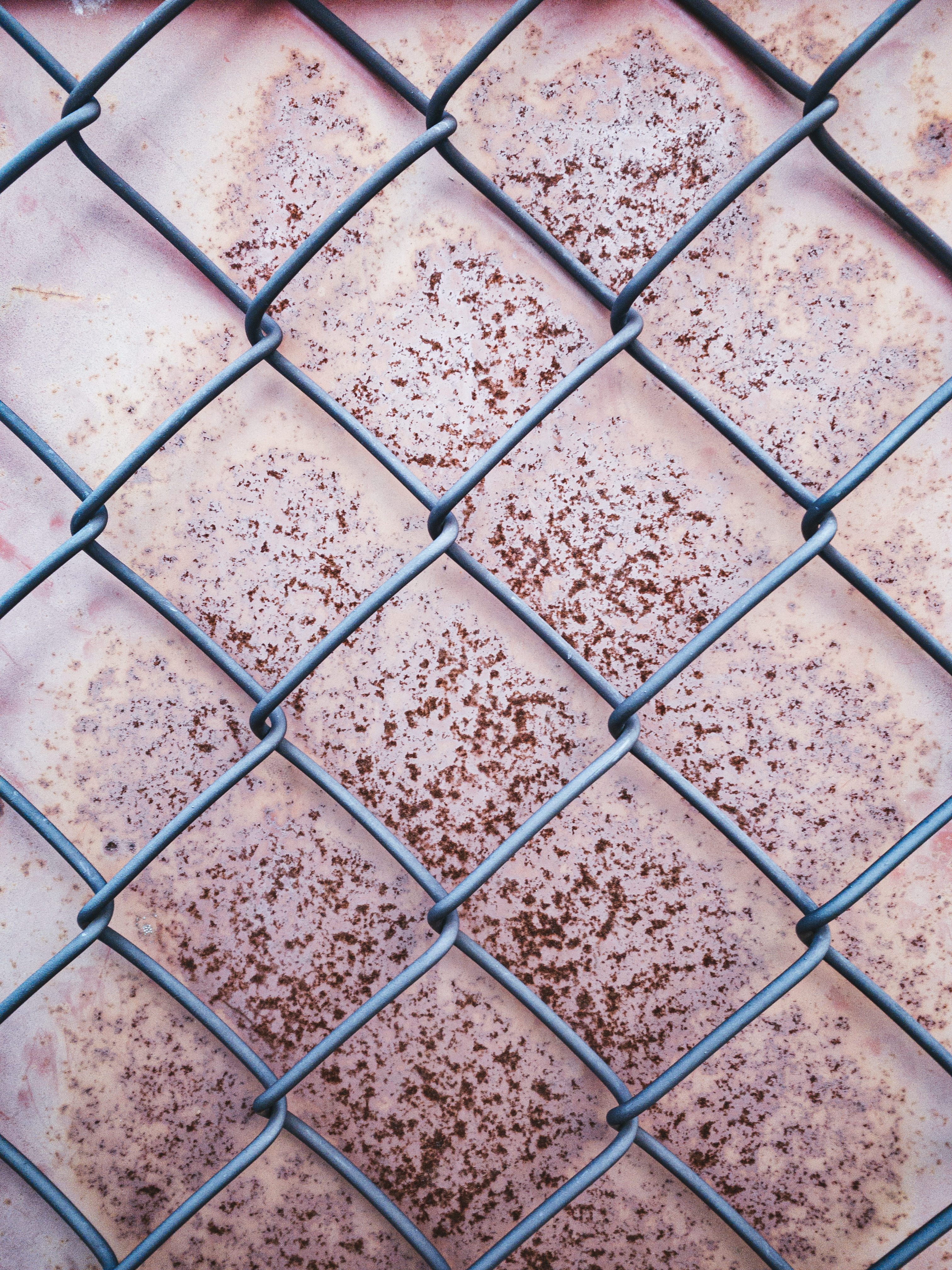 錆付いた板と金網 テクスチャ の写真を無料ダウンロード フリー素材 ぱくたそ 錆付いた板と金網 テクスチャ の写真を無料ダウンロード フリー素材 ぱくたそ