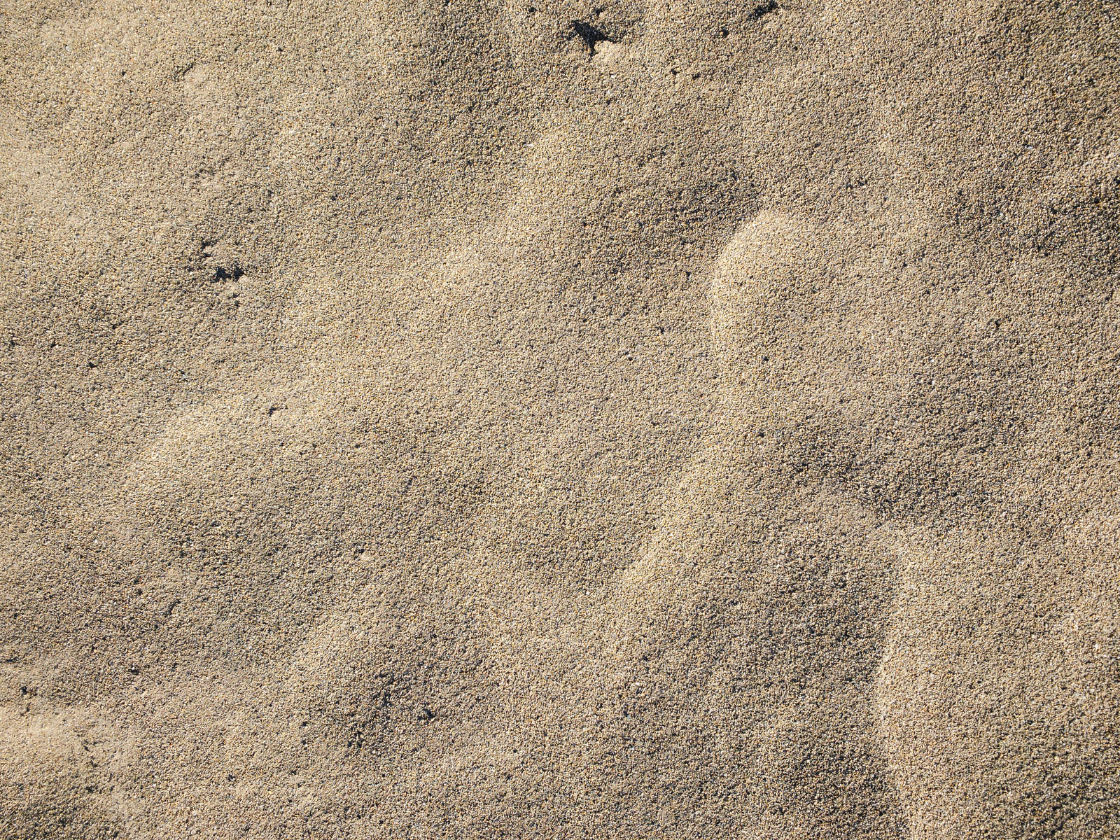 砂の上にうっすらと残る風紋 テクスチャ のフリー素材 ぱくたそ
