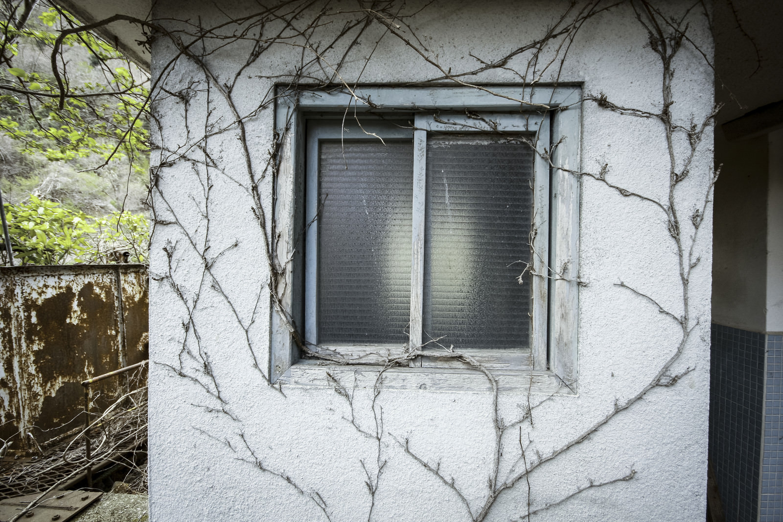 蔦と不気味な窓 ホラーっぽい建物の写真を無料ダウンロード フリー素材 ぱくたそ 蔦と不気味な窓 ホラーっぽい建物の写真を無料ダウンロード フリー素材 ぱくたそ