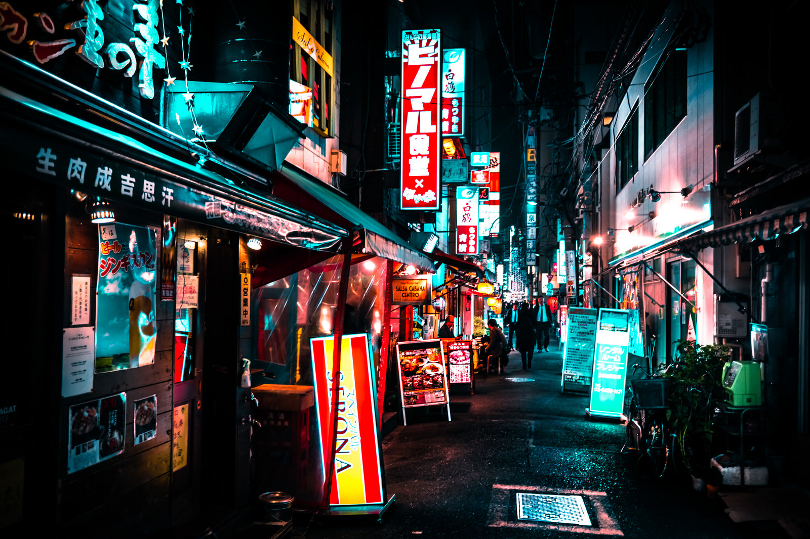 裏路地の居酒屋と飲み歩く人々の写真 画像 を無料ダウンロード フリー素材のぱくたそ