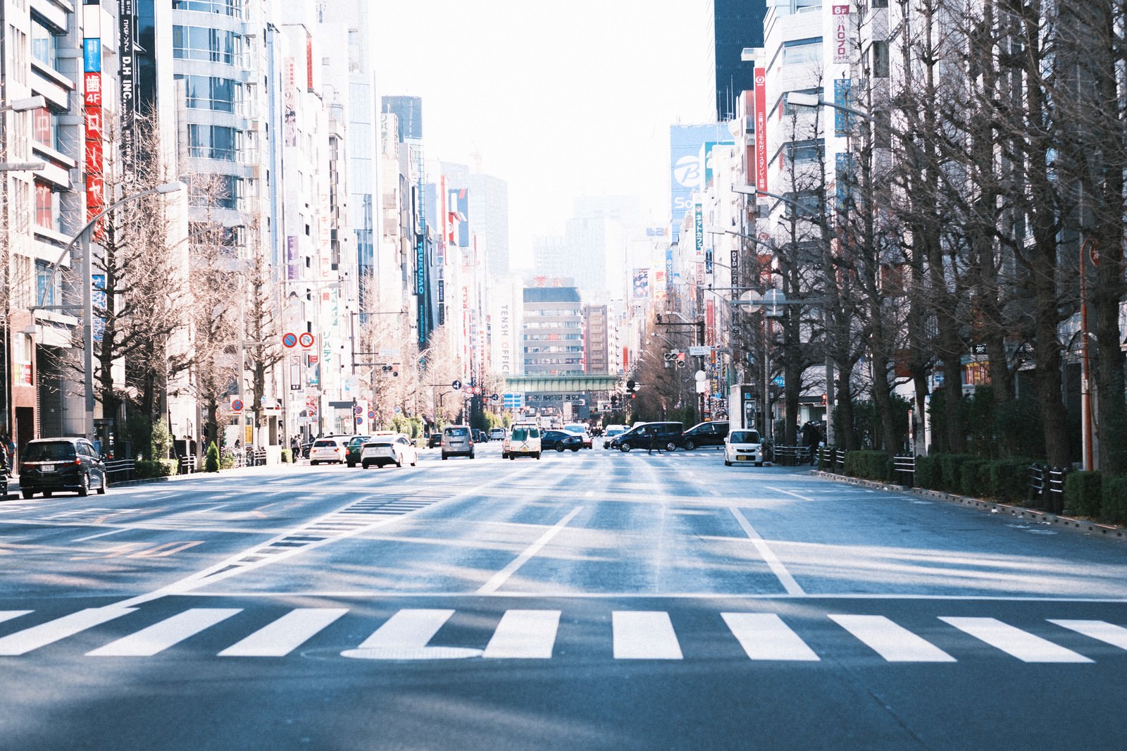 街路樹の影が伸びる車道の写真 画像 を無料ダウンロード フリー素材のぱくたそ 街路樹の影が伸びる車道の写真 画像 を無料ダウンロード フリー素材のぱくたそ