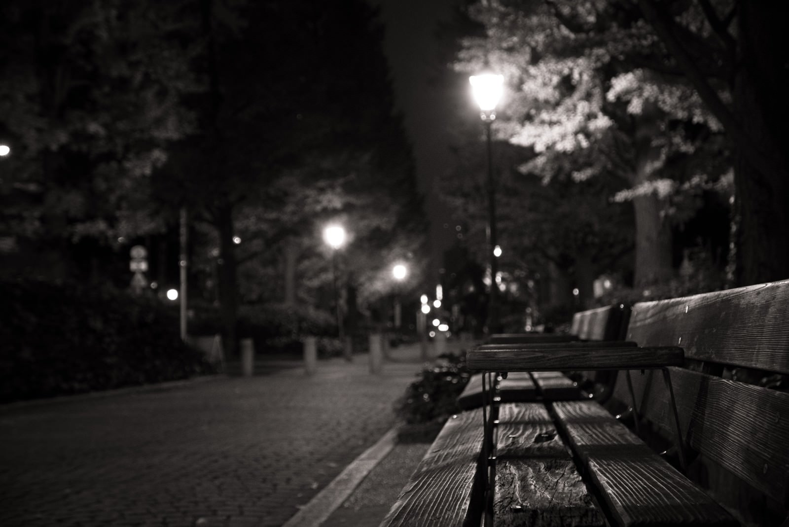 夜間の人影がない公園のベンチの写真素材 ぱくたそ