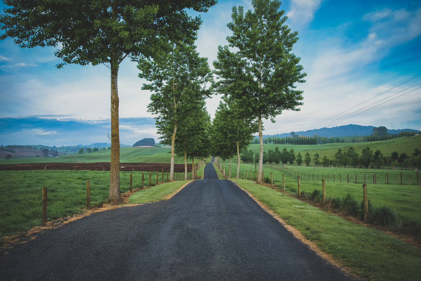 「ニュージーランド郊外の果てしなく続く道路」の写真