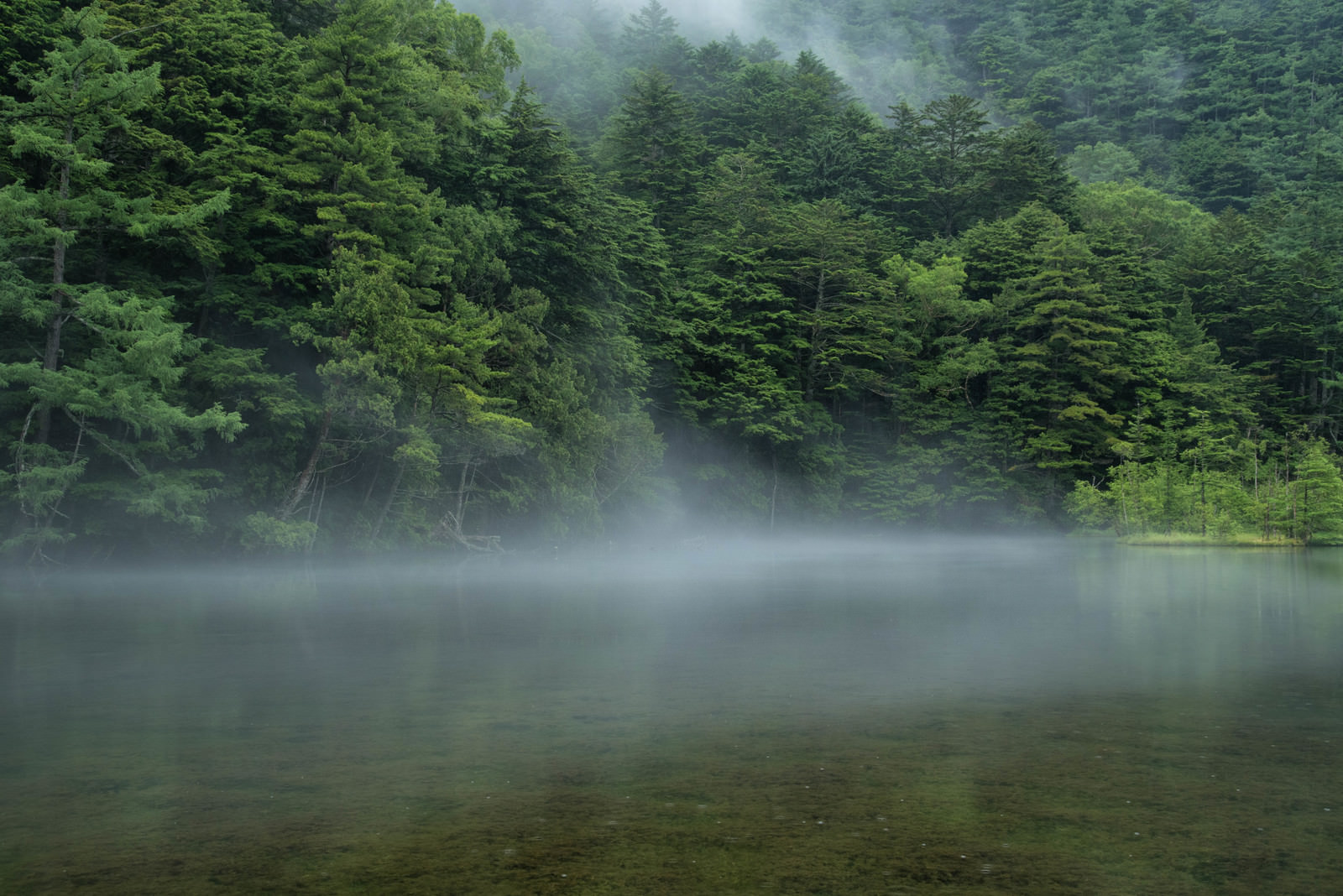 「霧が掛かり始める明神池（上高地） | フリー素材のぱくたそ」の写真